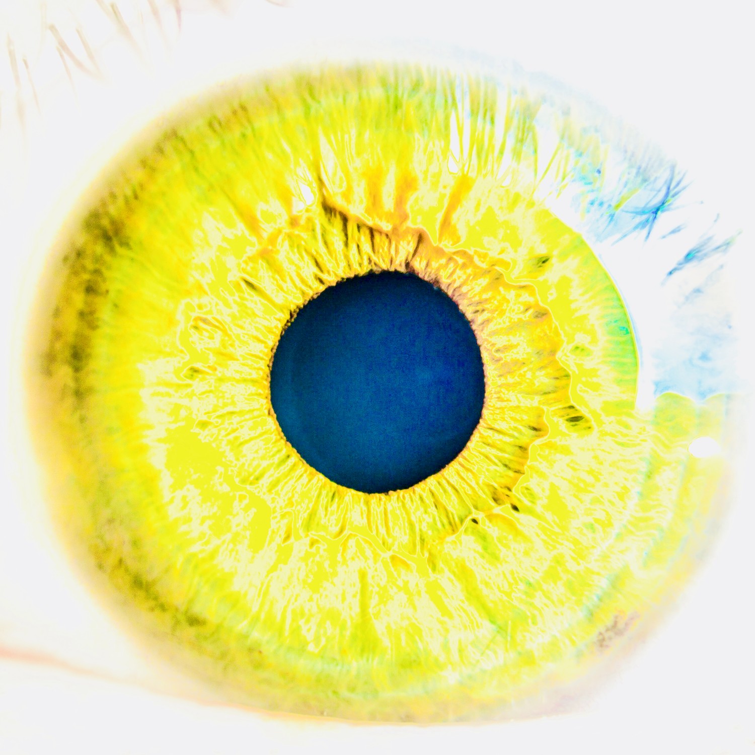 I Can See Stars (Radio Edit)