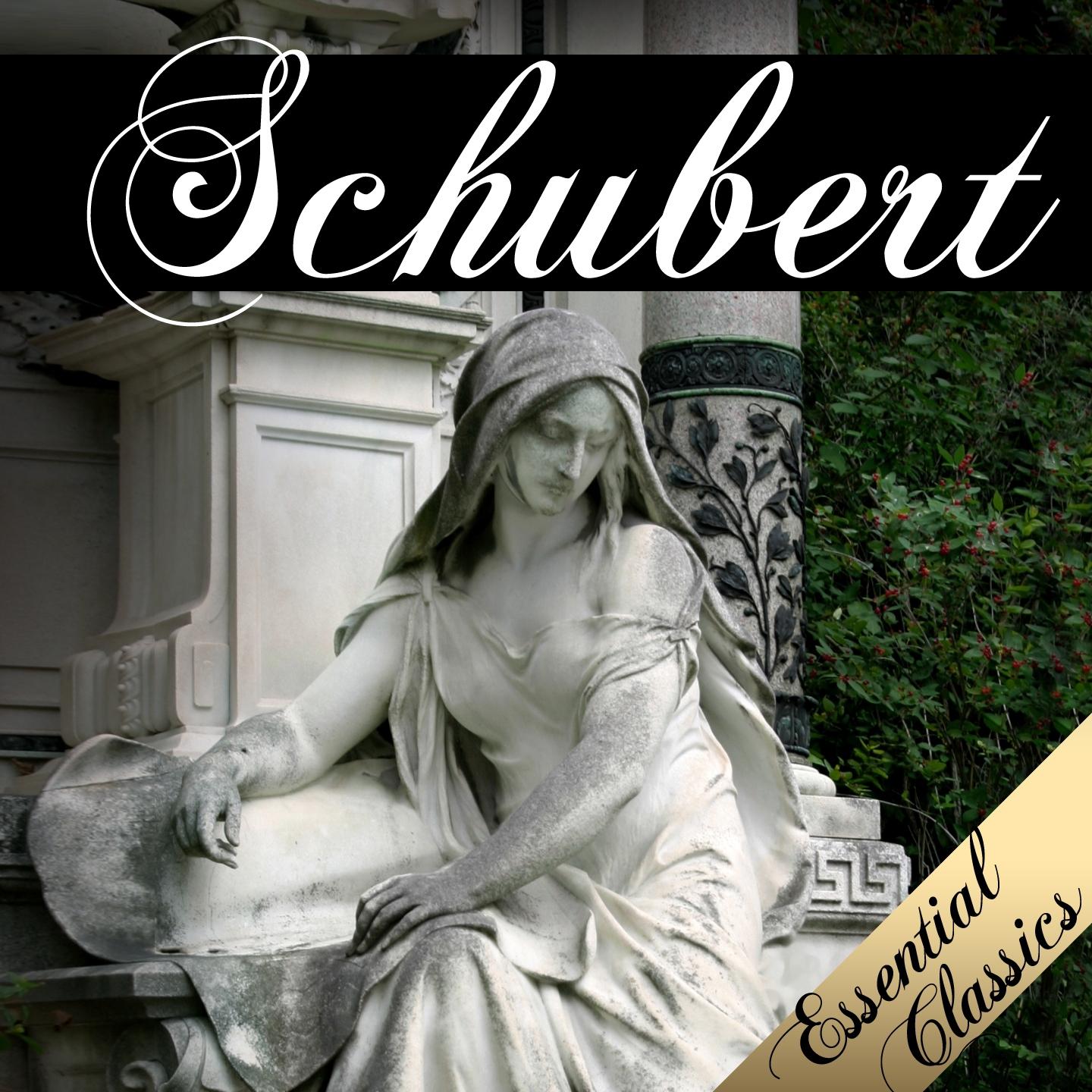 Sonata In A Major D664 I. Allegro moderato