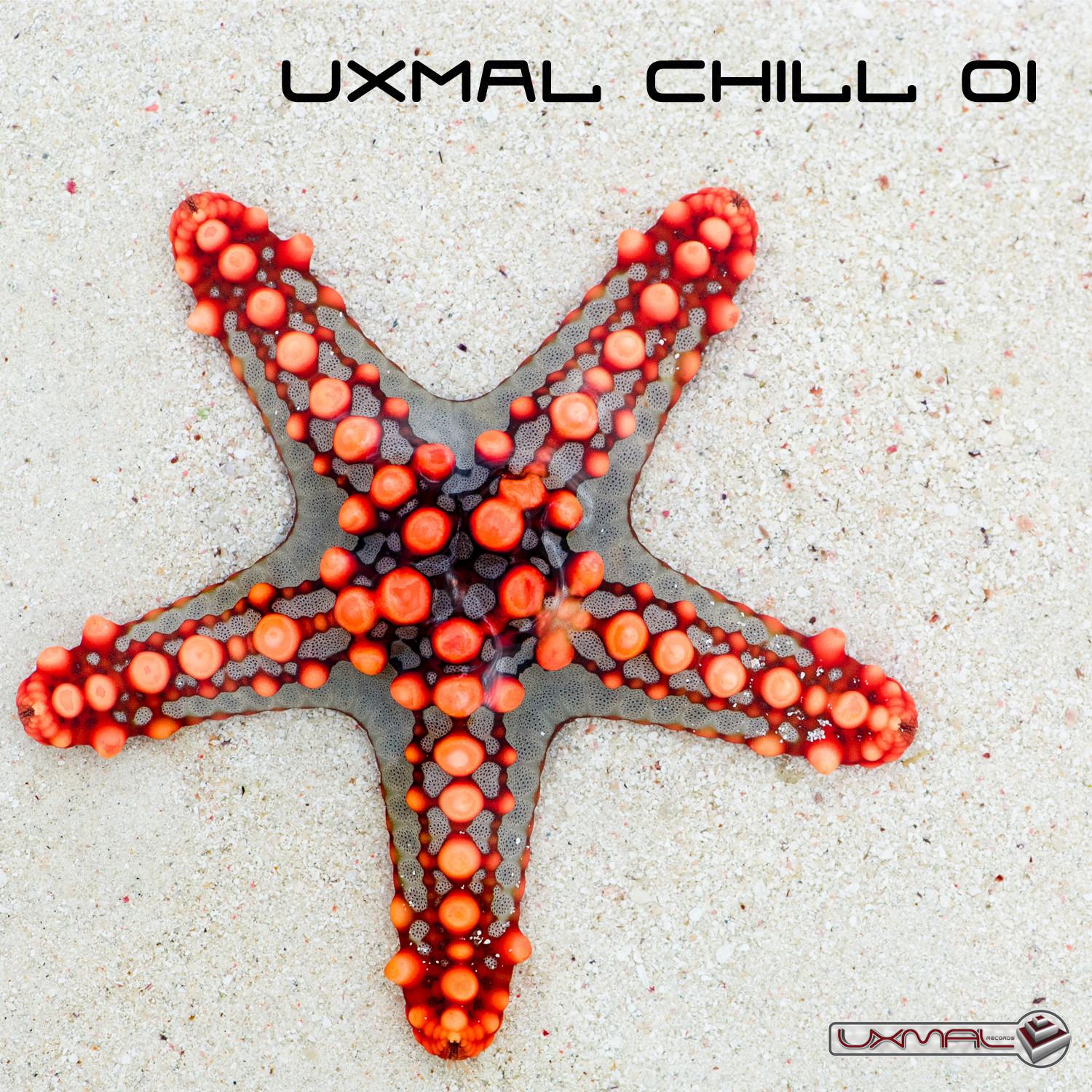 Uxmal Chill 01