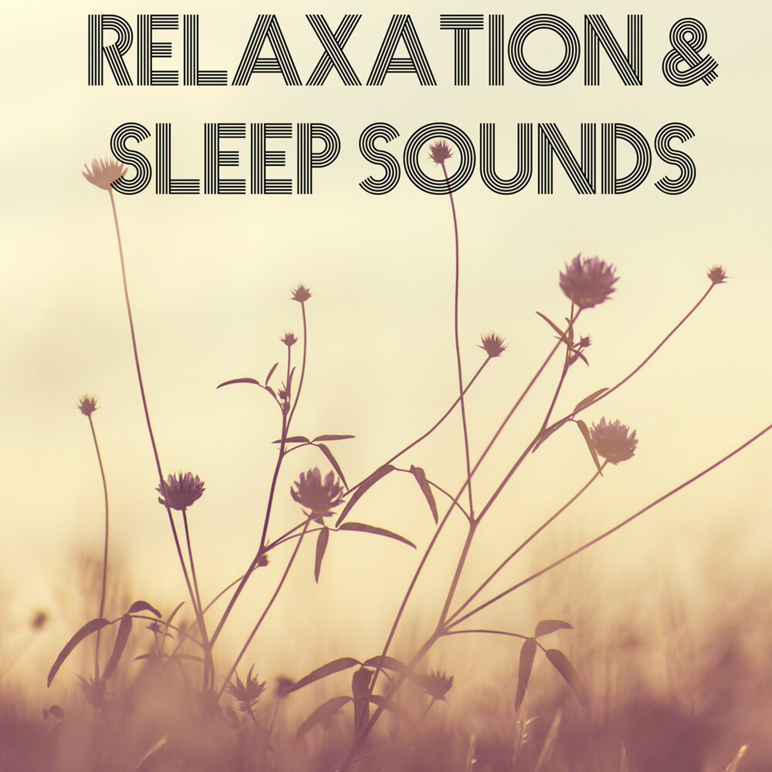 19 White Noise Nature Sounds Relaxation and Sleep Sounds