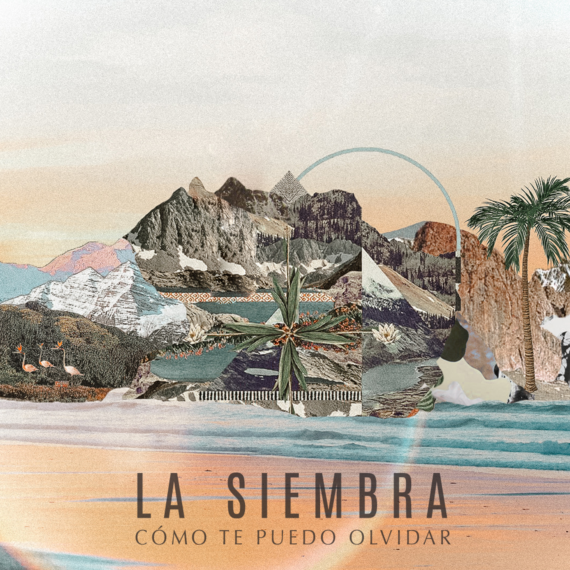 Co mo Te Puedo Olvidar