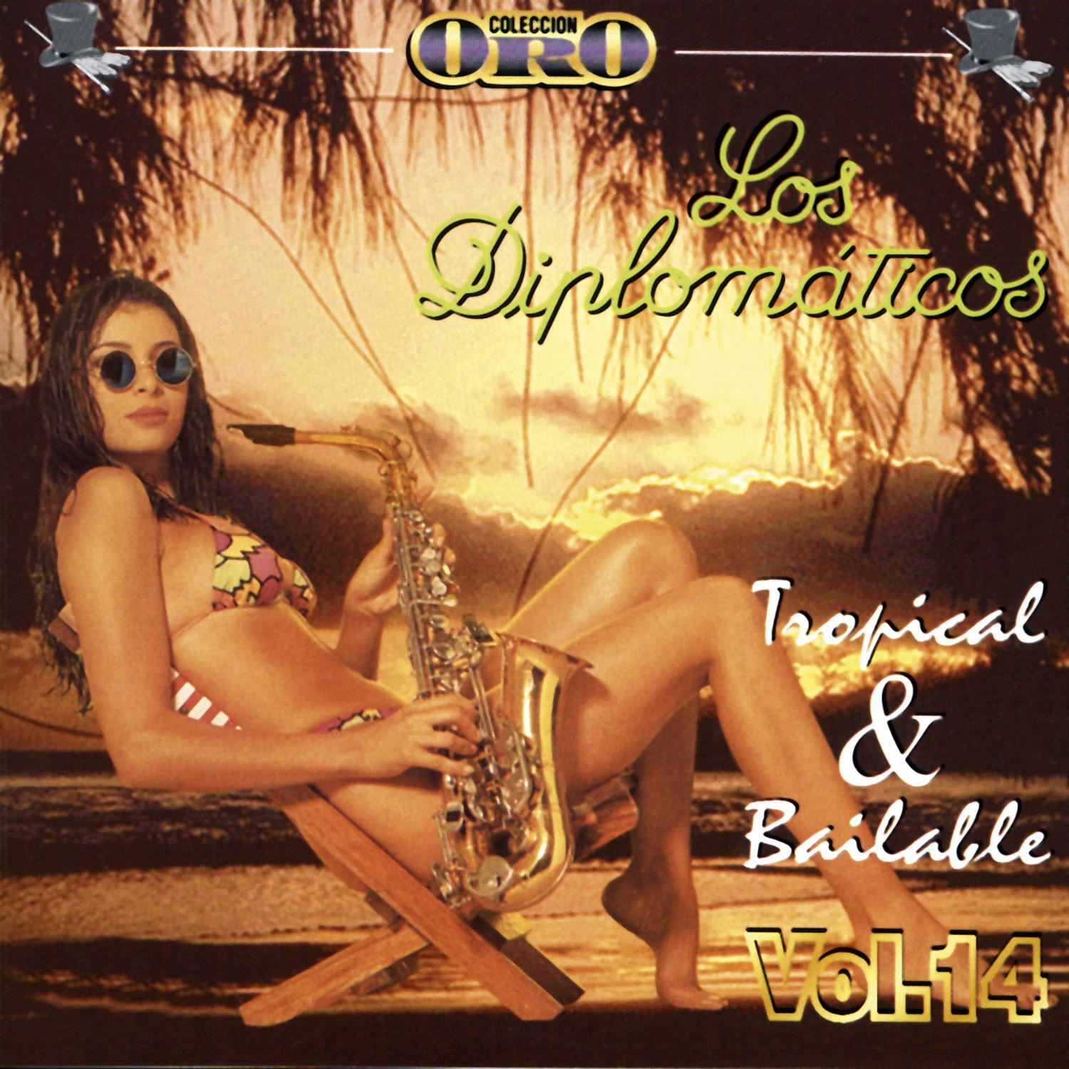 Mosaico: Grito Vagabundo  Dame Tu Mujer Jose  la Pi a Madura  las Mujeres a Mi No Me Quieren  Vi spera de A o Nuevo