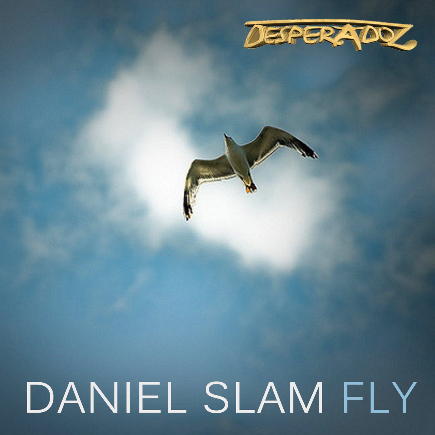 Daniel Slam