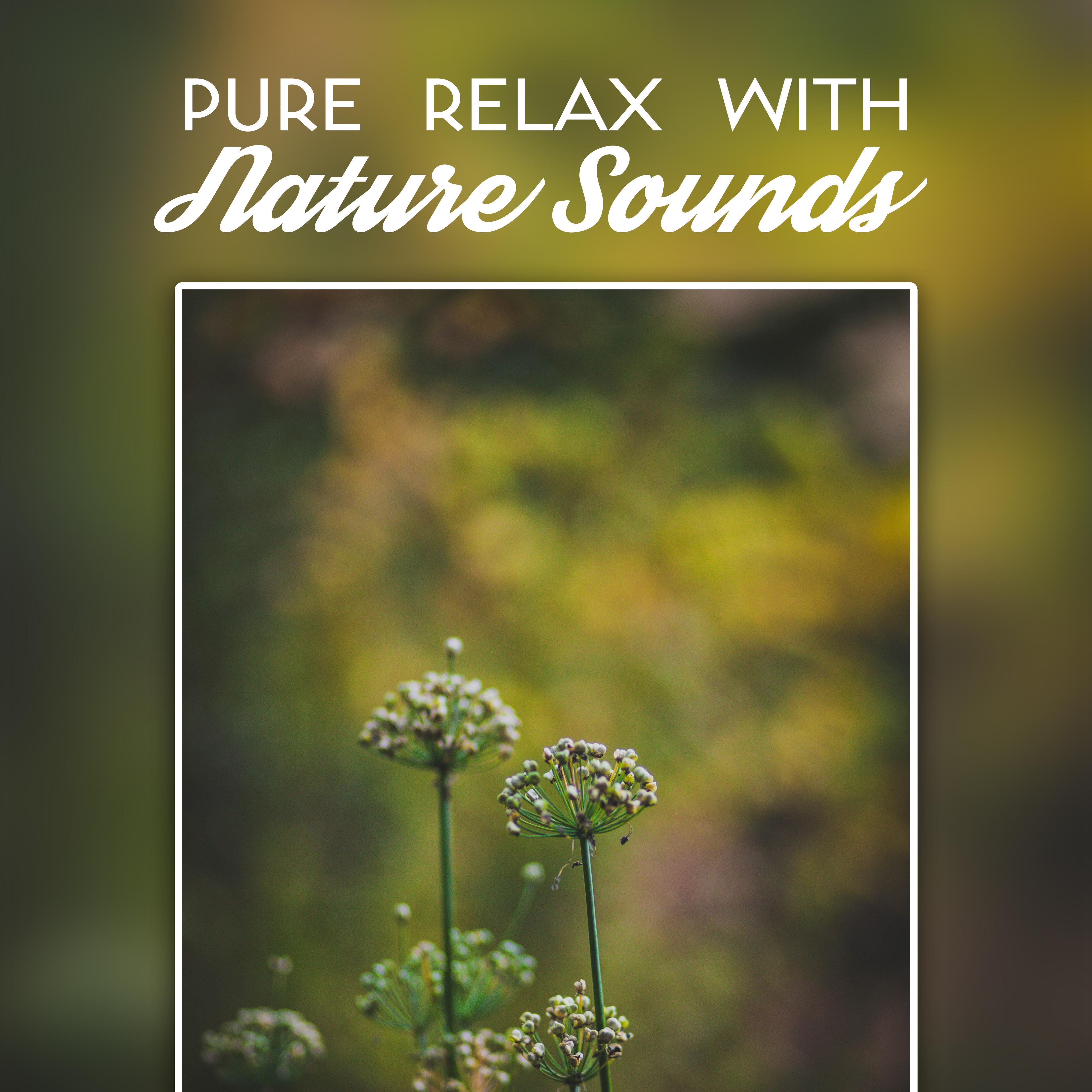 Pure Relax with Nature Sounds