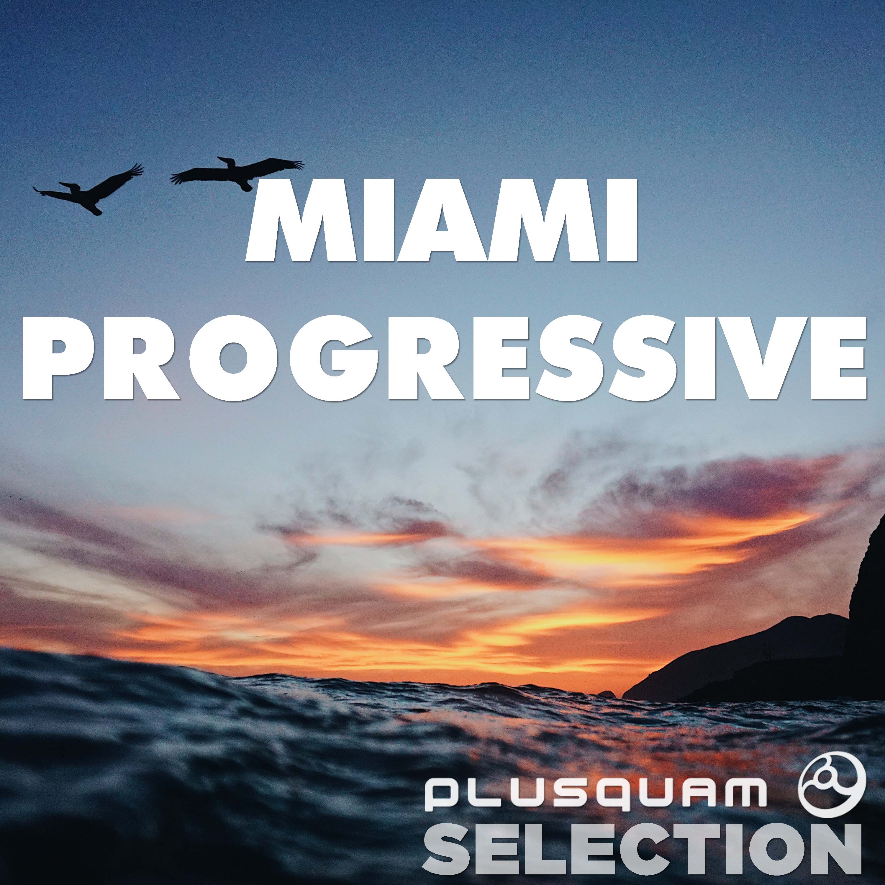 Miami Progressive
