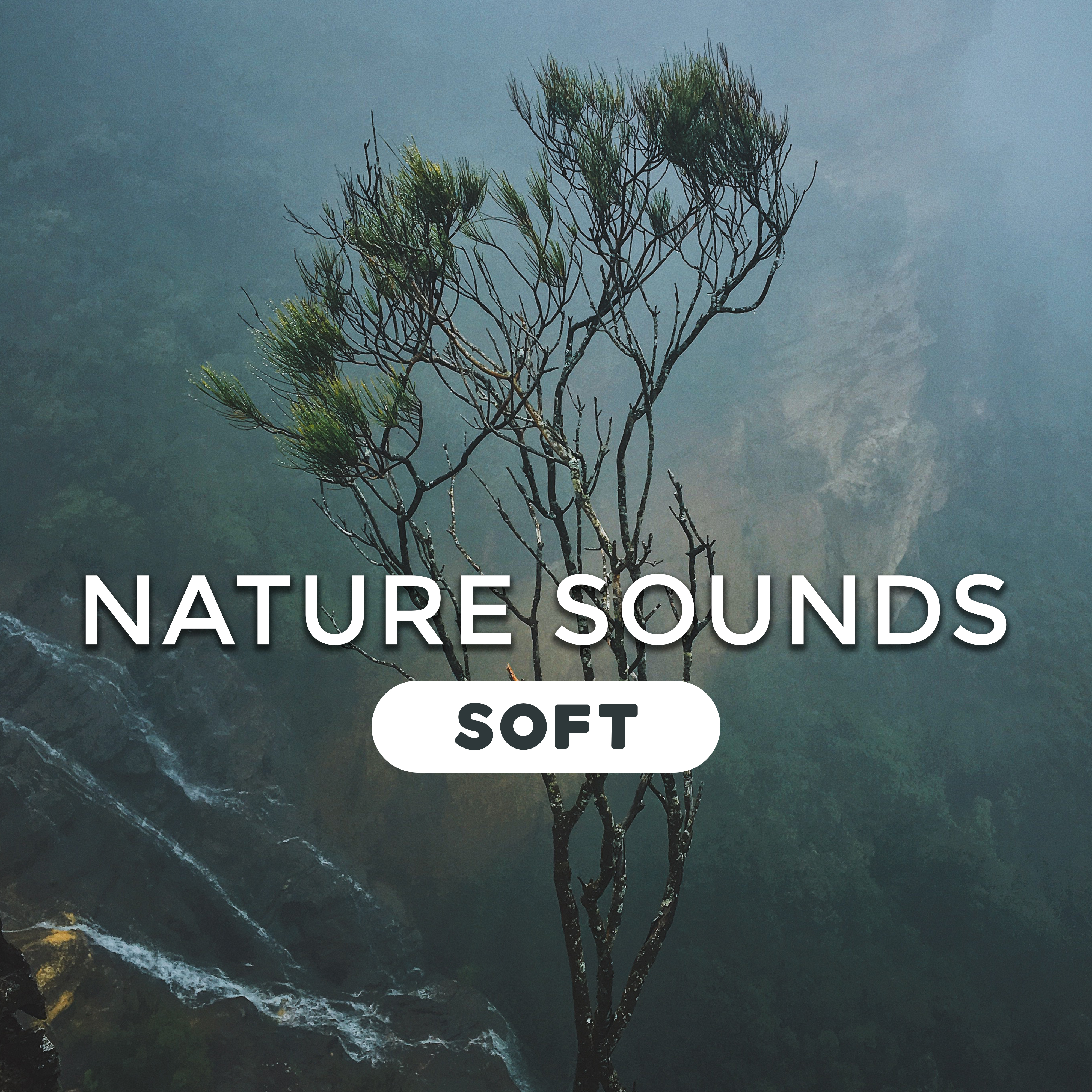 Nature Sounds Soft