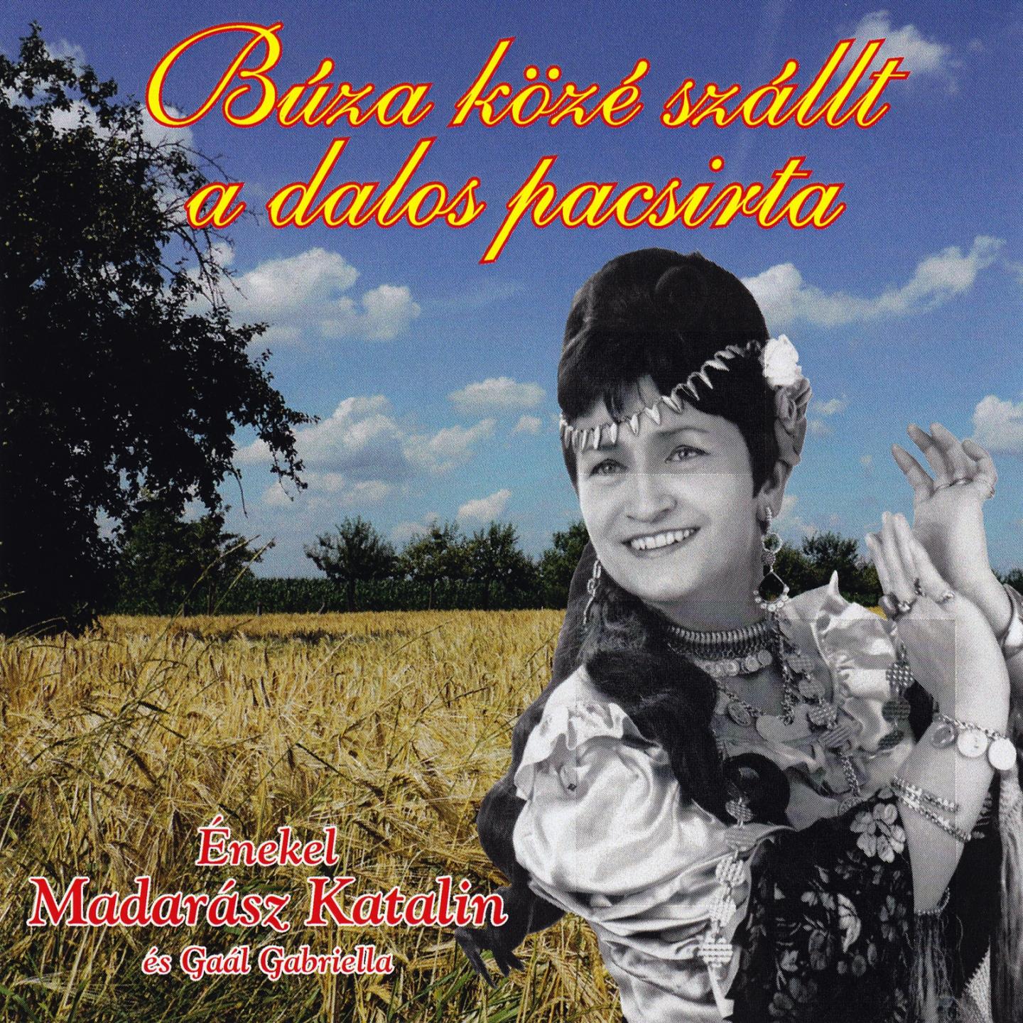 Bu za K ze Sza llt A Dalos Pacsirta
