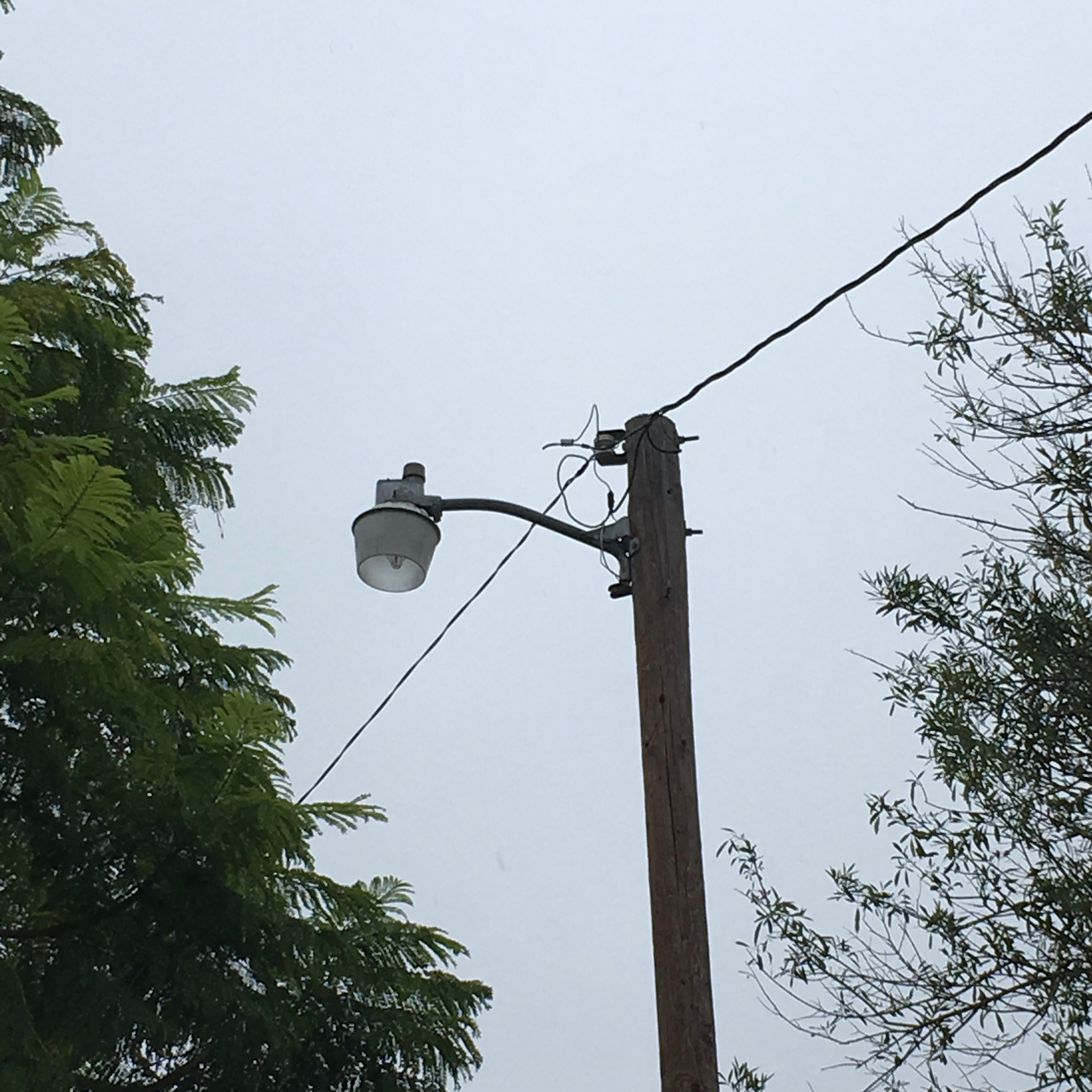 we're going to be friends