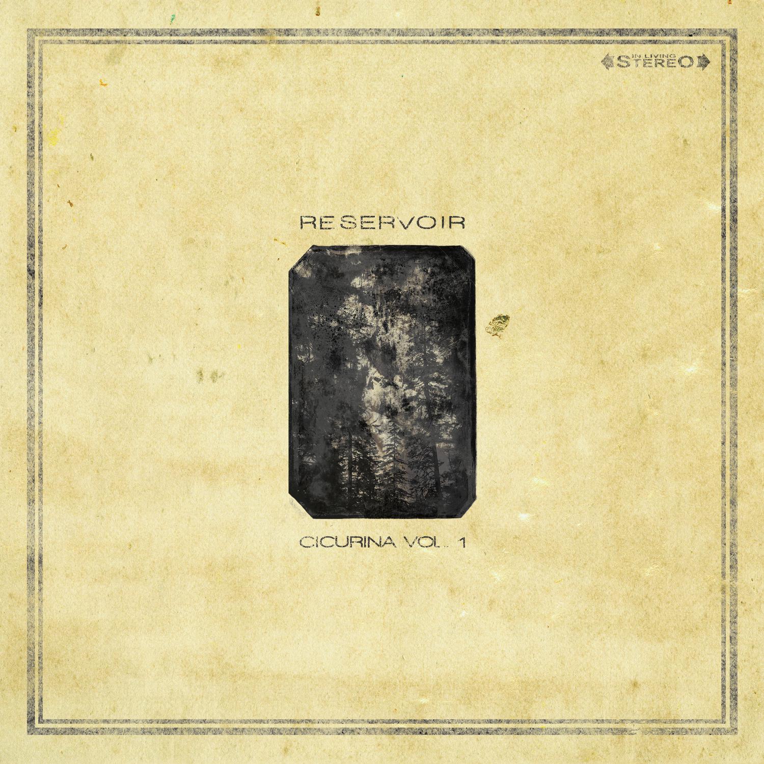 Cicurina Vol. 1