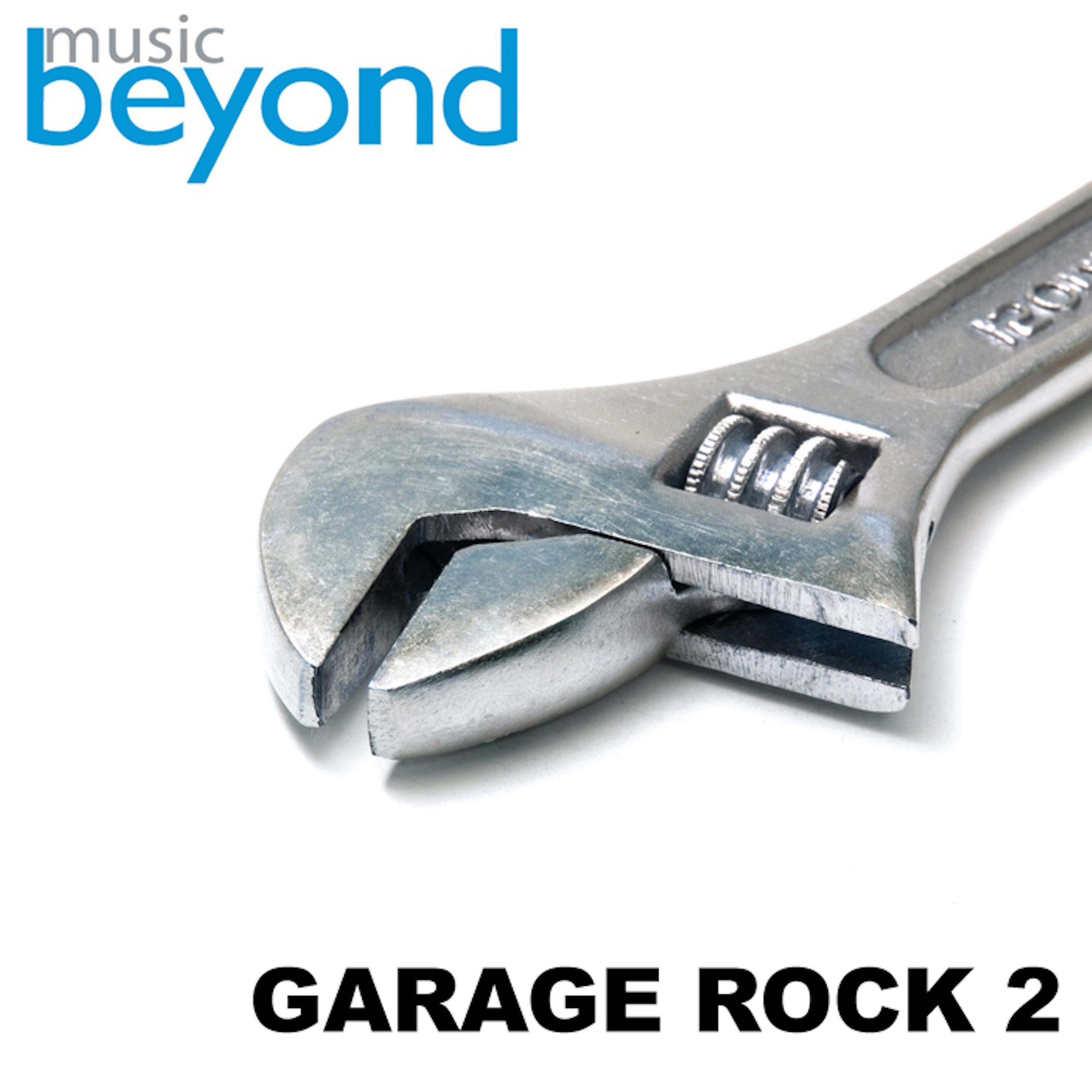 Garage Rock, Vol. 2