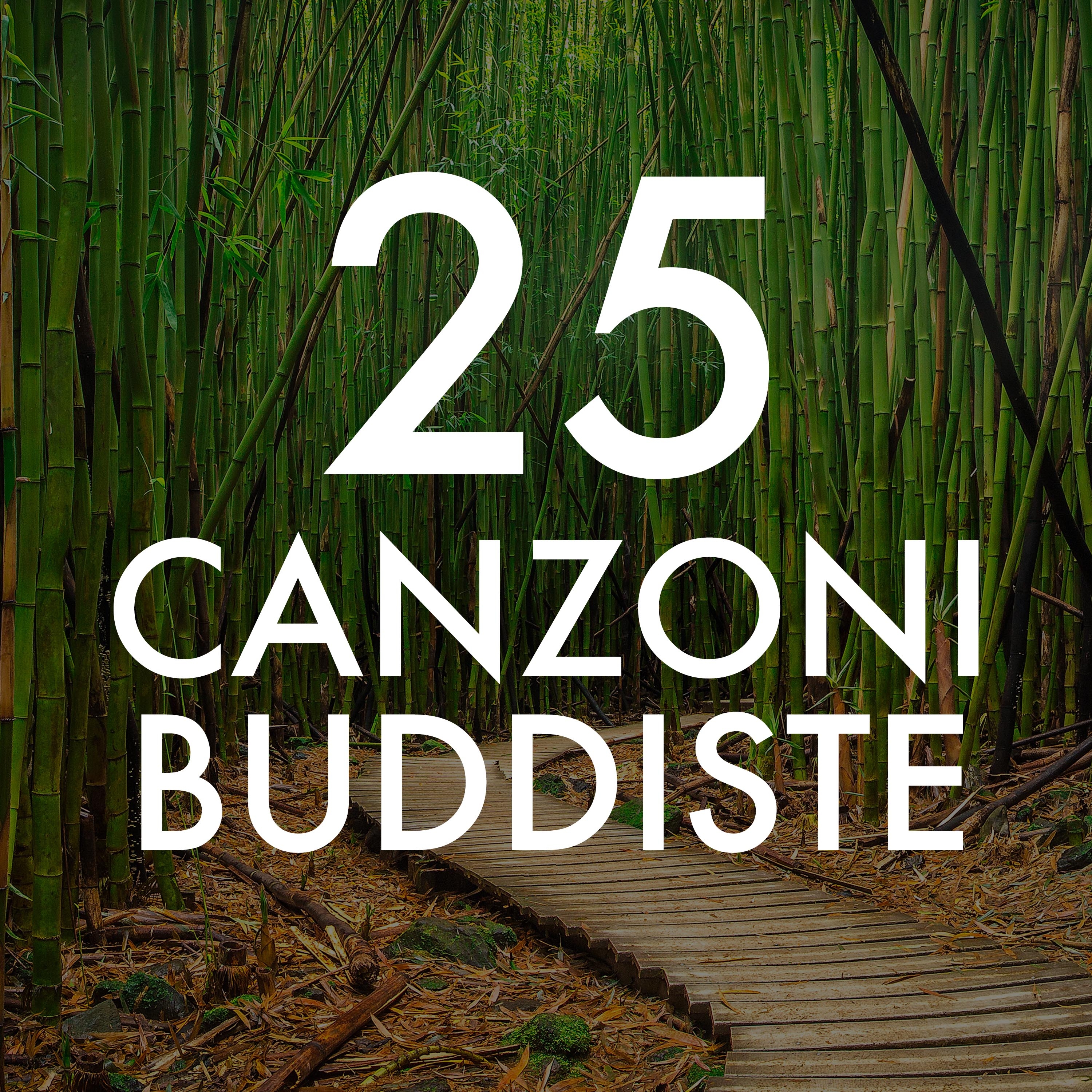 25 Canzoni Buddiste: Musica Rilassante Etnica New Age con Suoni della Natura, Campane Tibetane e Rumore Bianco