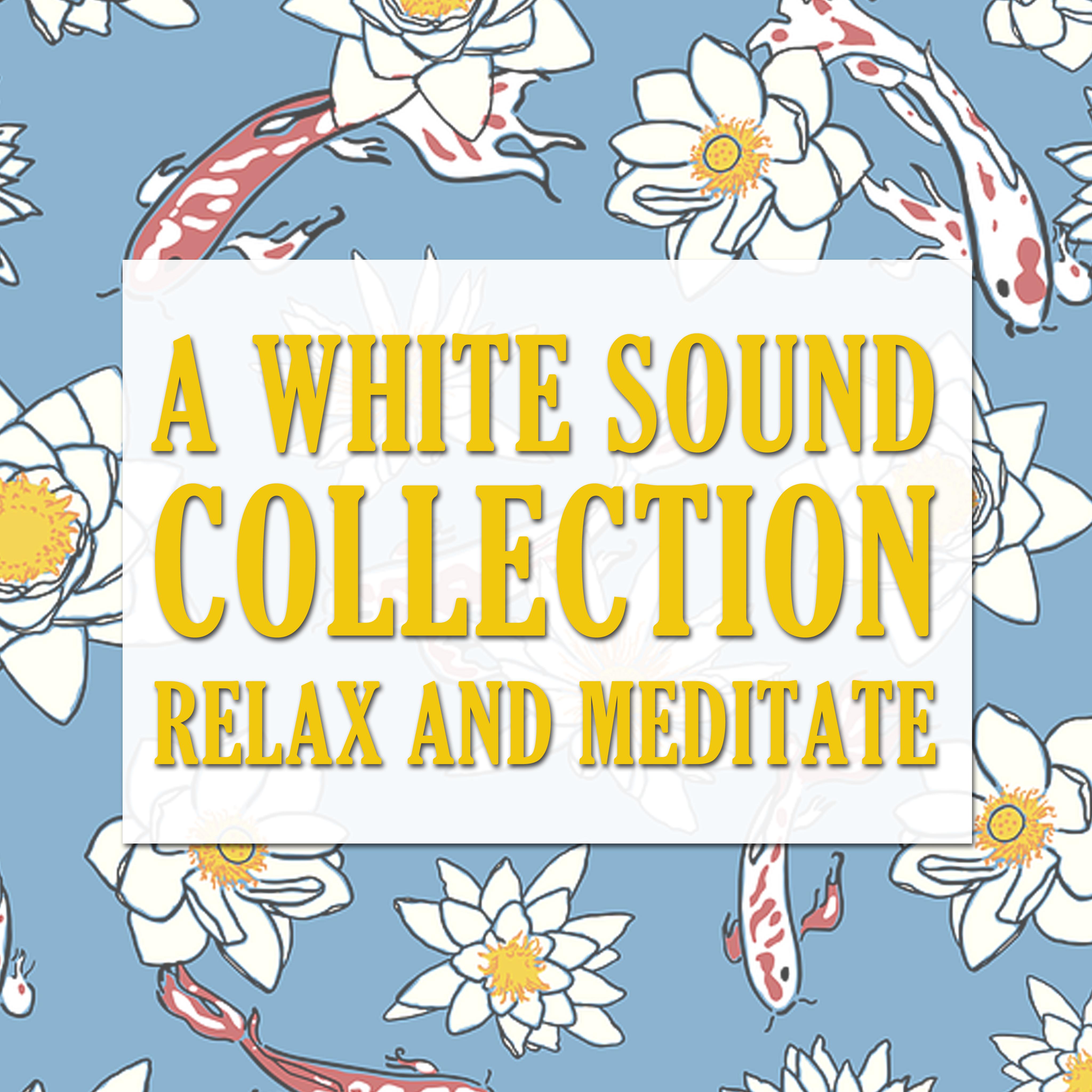 2018 A White Sound Collection: Relax and Meditate