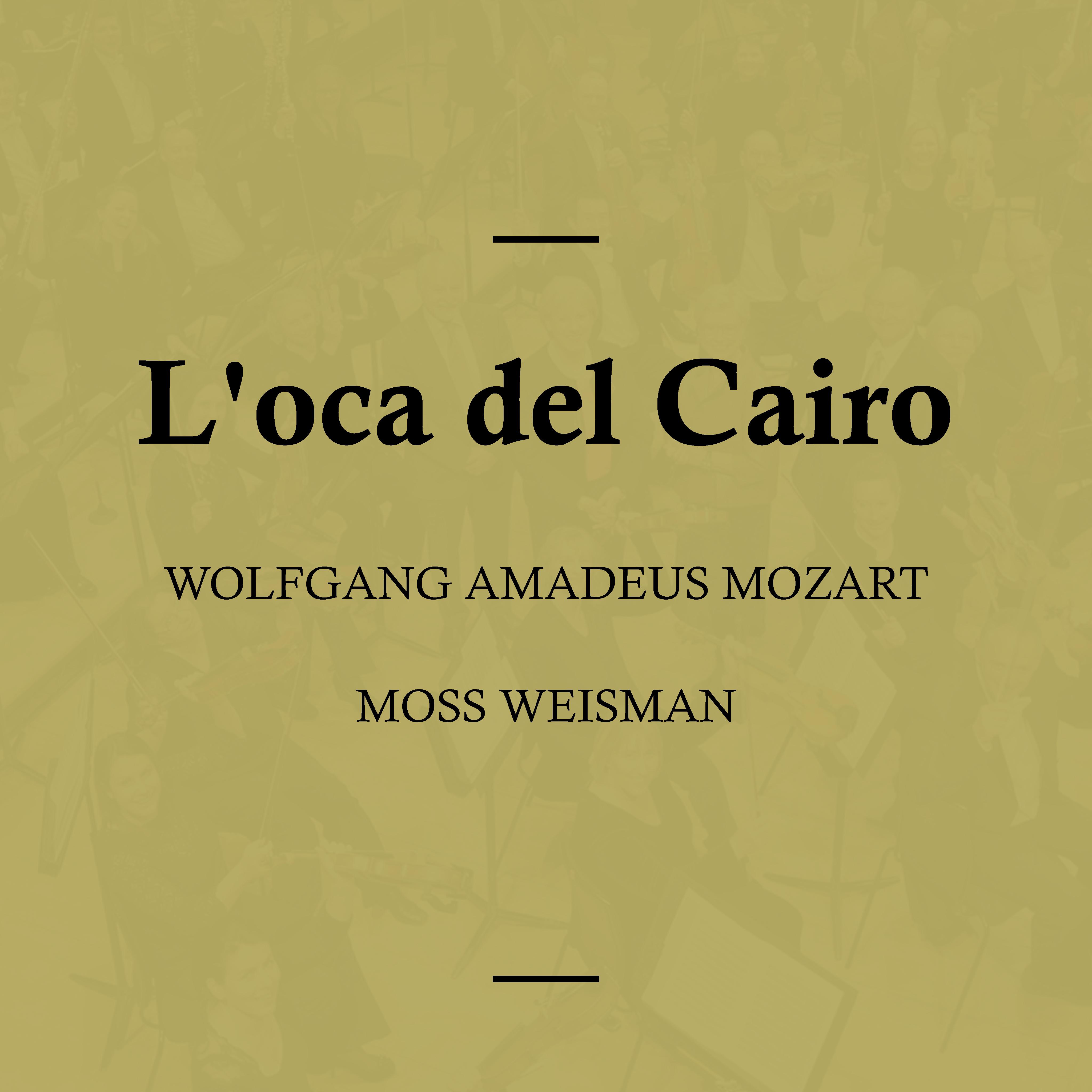 L'oca del Cairo, K. 422: Buon pro', Signori