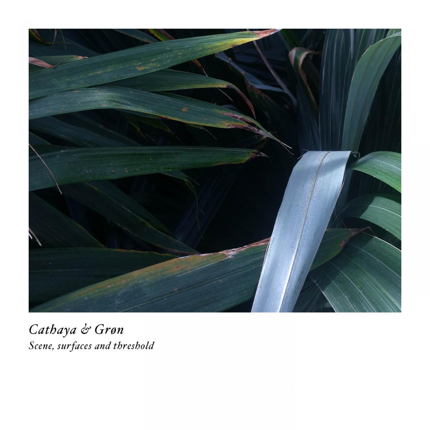 Scene, Surfaces And Threshold