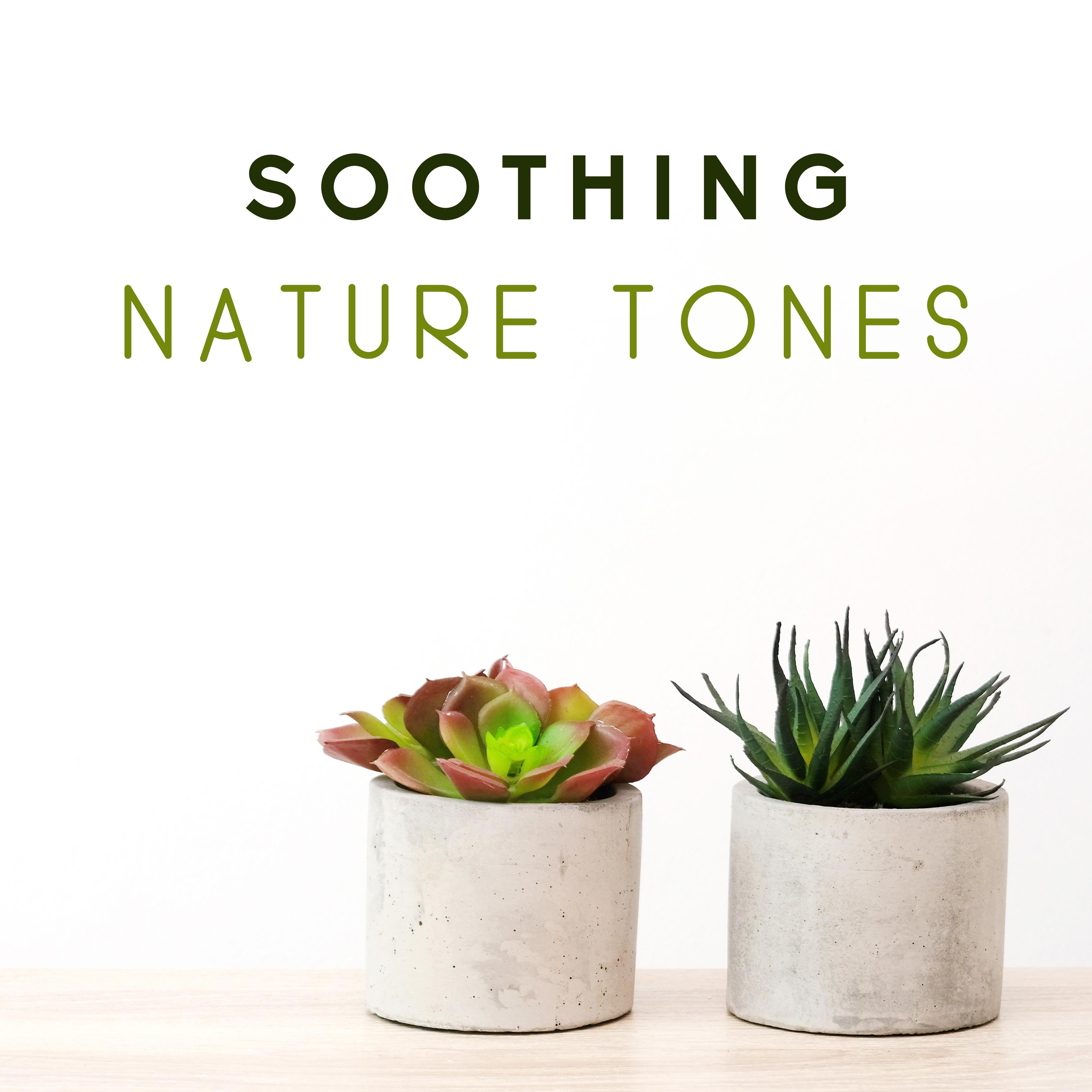 Soothing Nature Tones