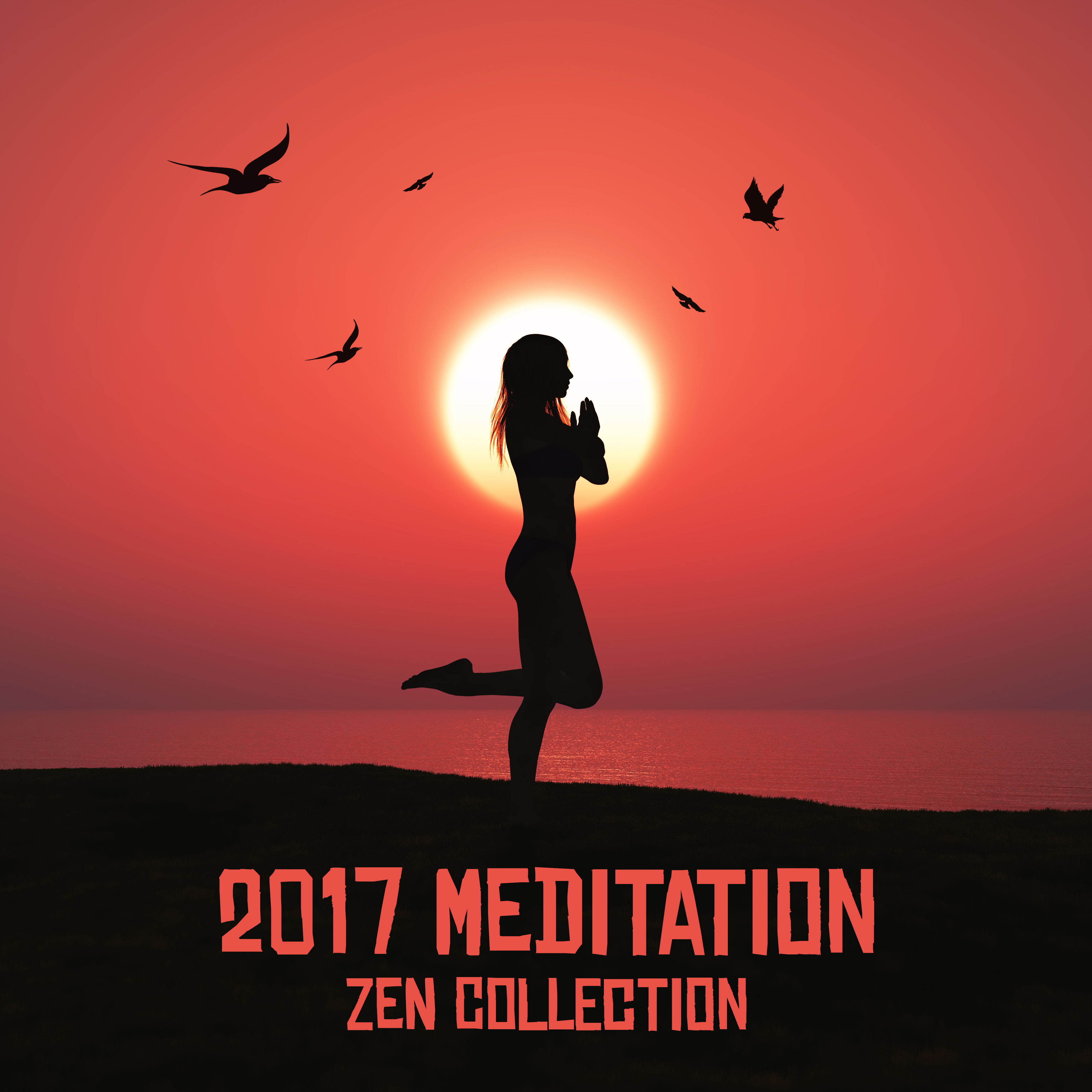2017 Meditation Zen Collection