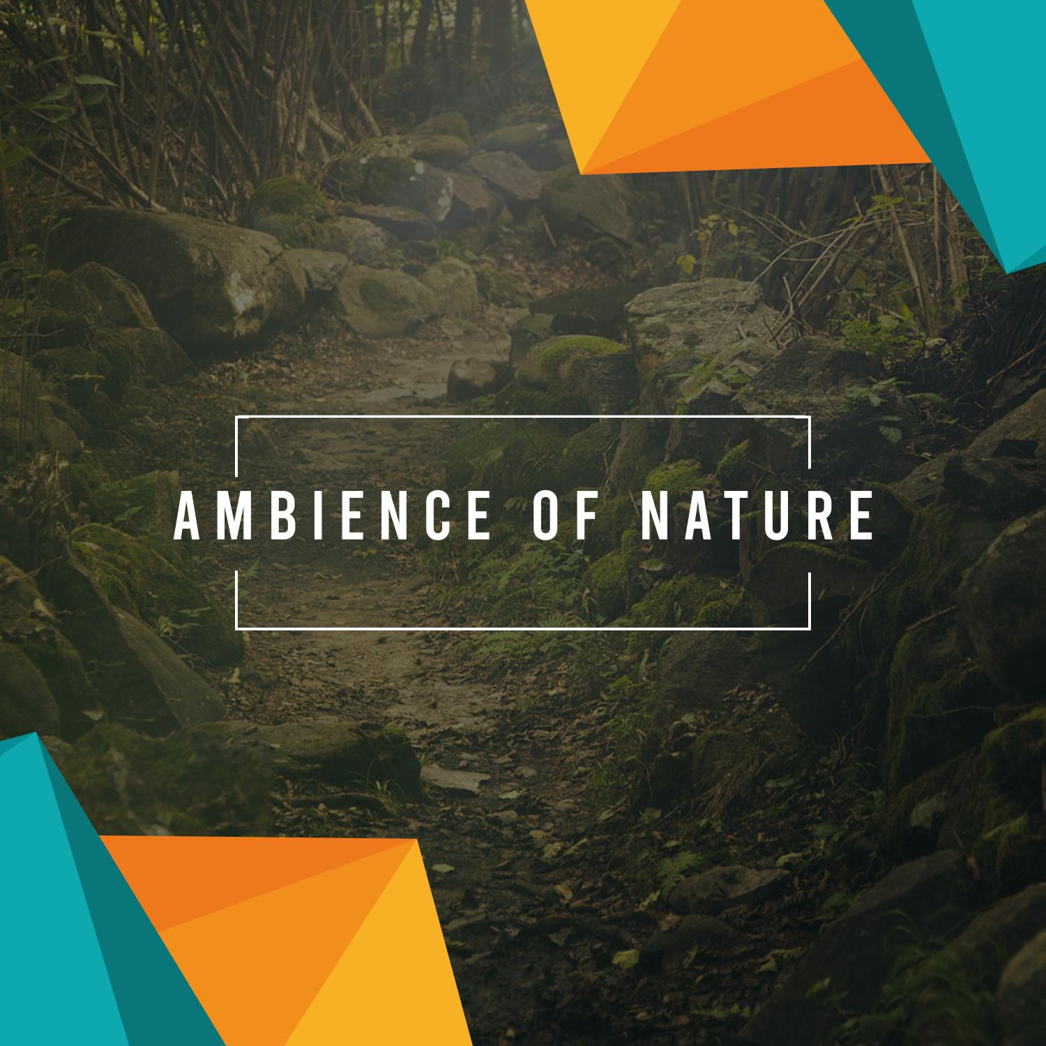 Ambience of Nature a Rain Sounds Compendium