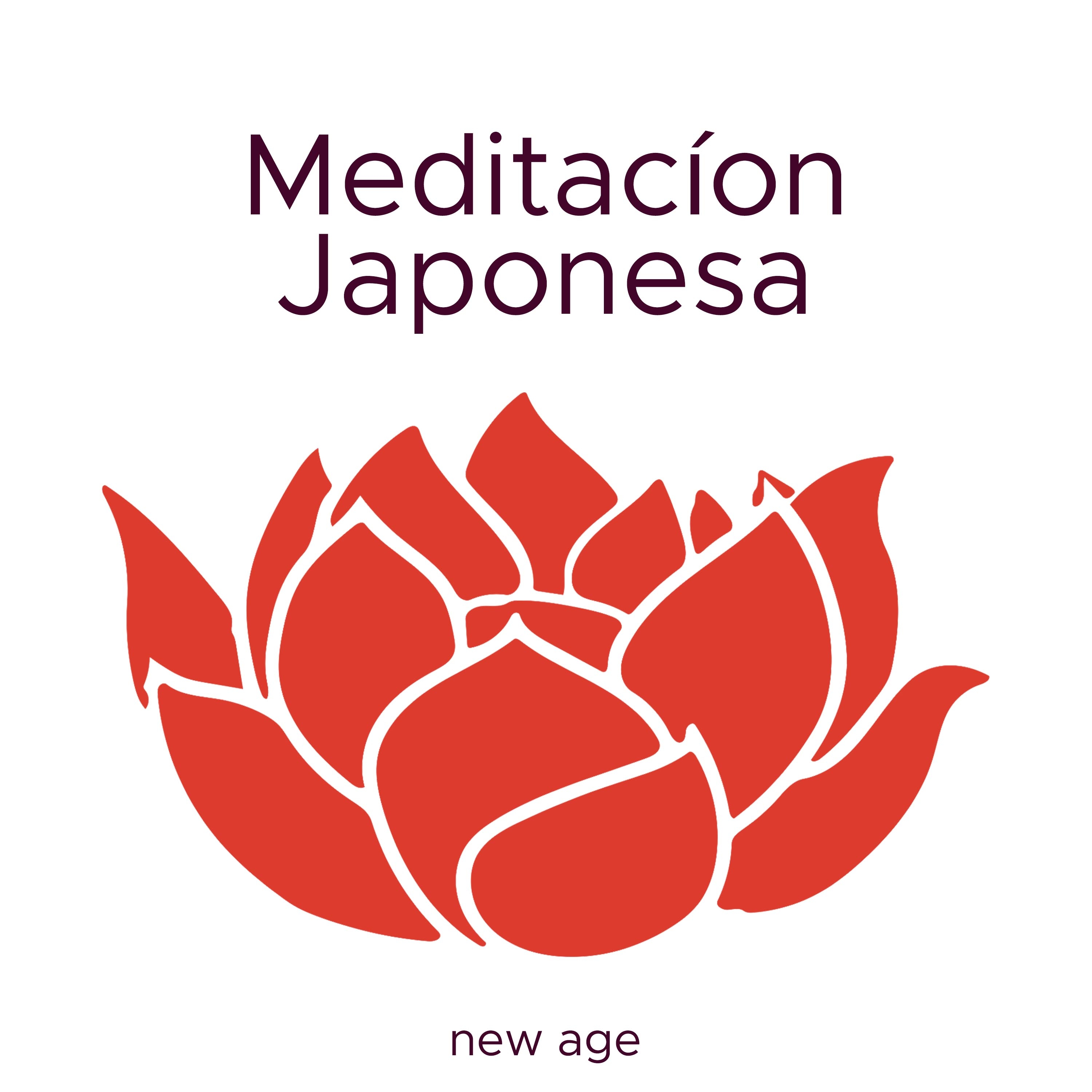 Budismo y Meditacio n Mindfulness