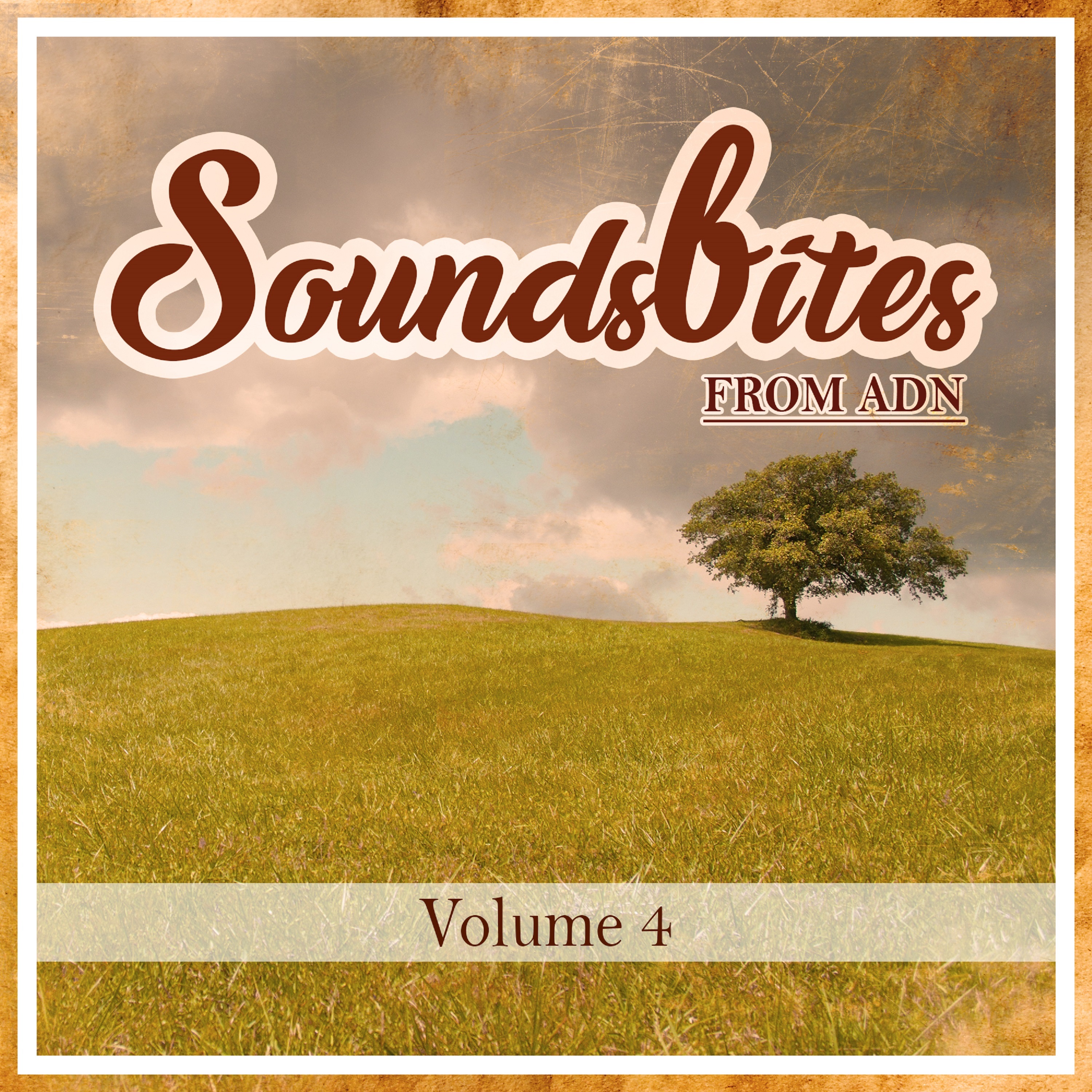 Soundbites From ADN, Vol. 4