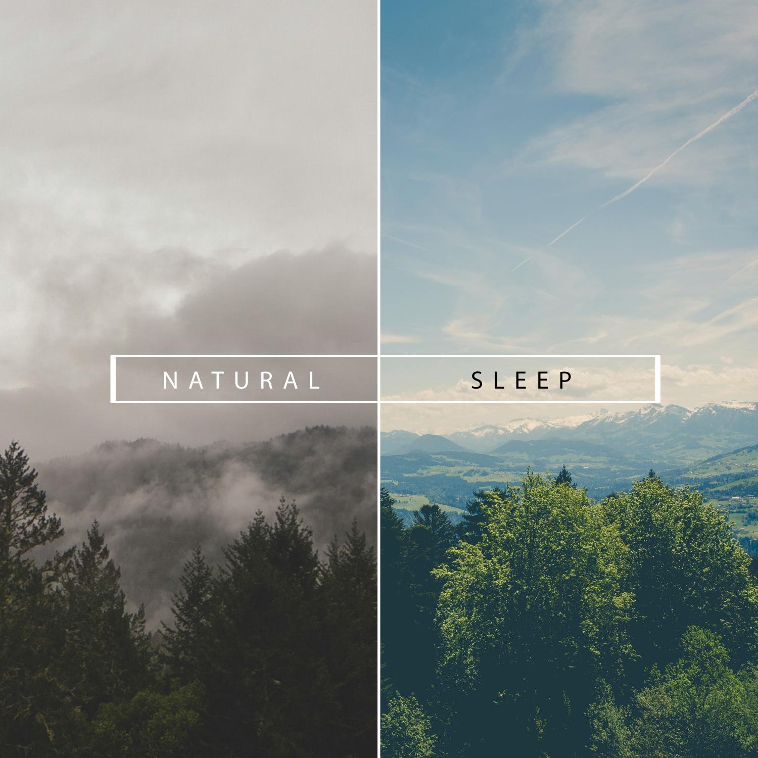 21 Natural Sleep Inducing Rain Sounds