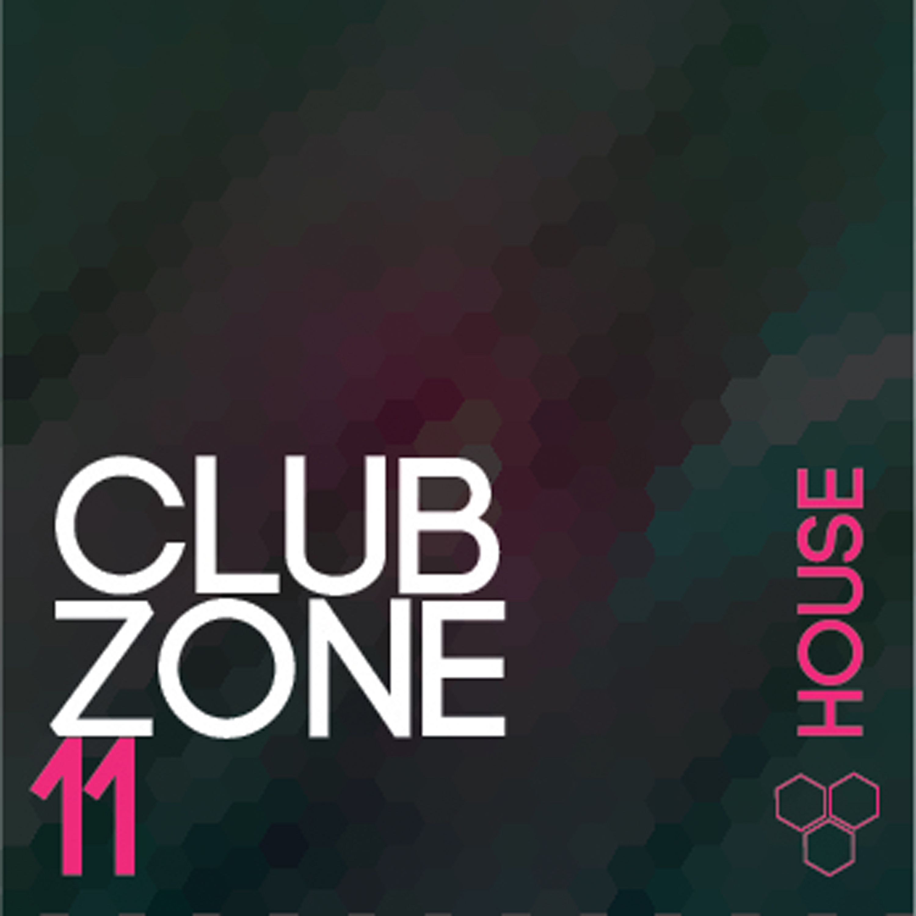 Club Zone - House, Vol. 11