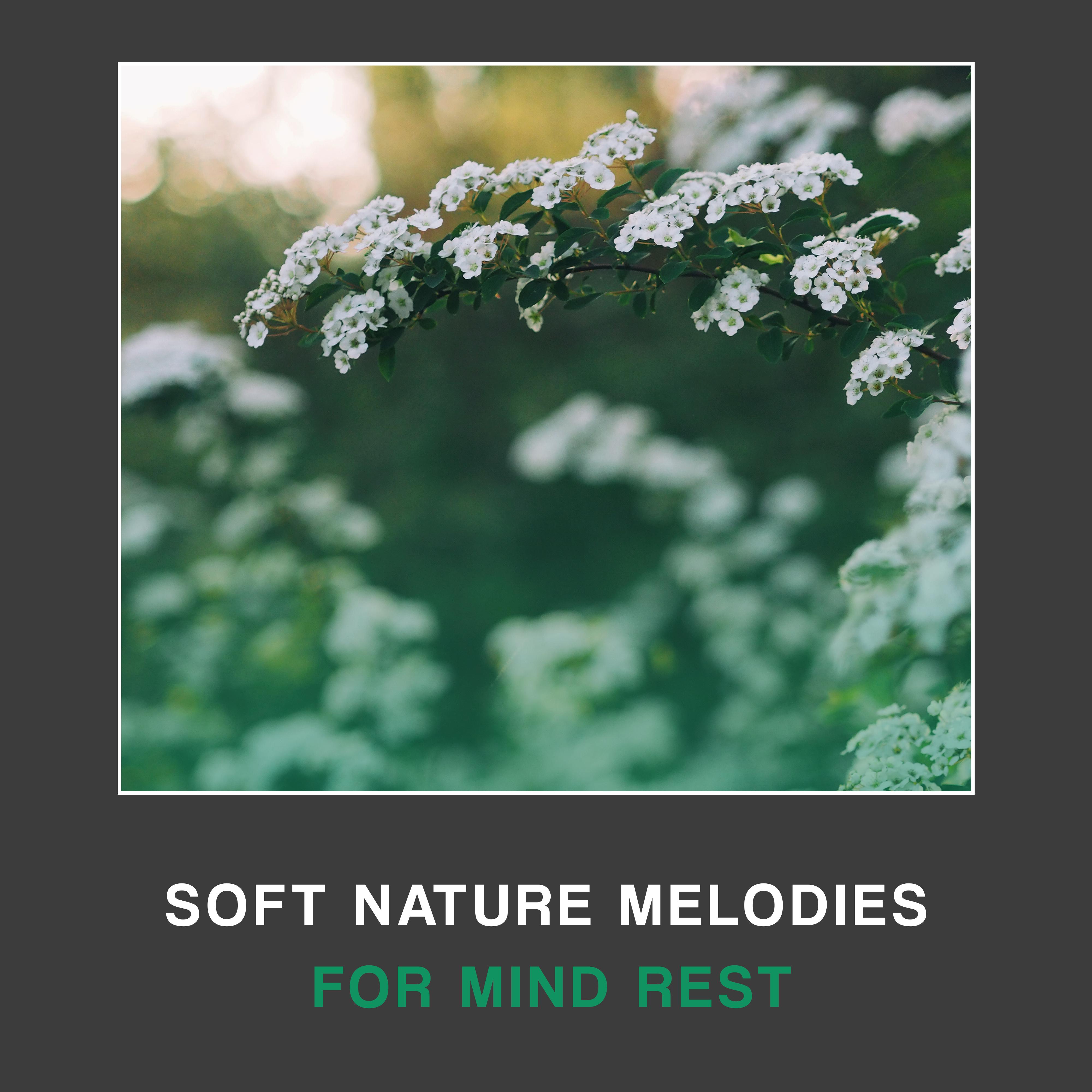 Soft Nature Melodies for Mind Rest
