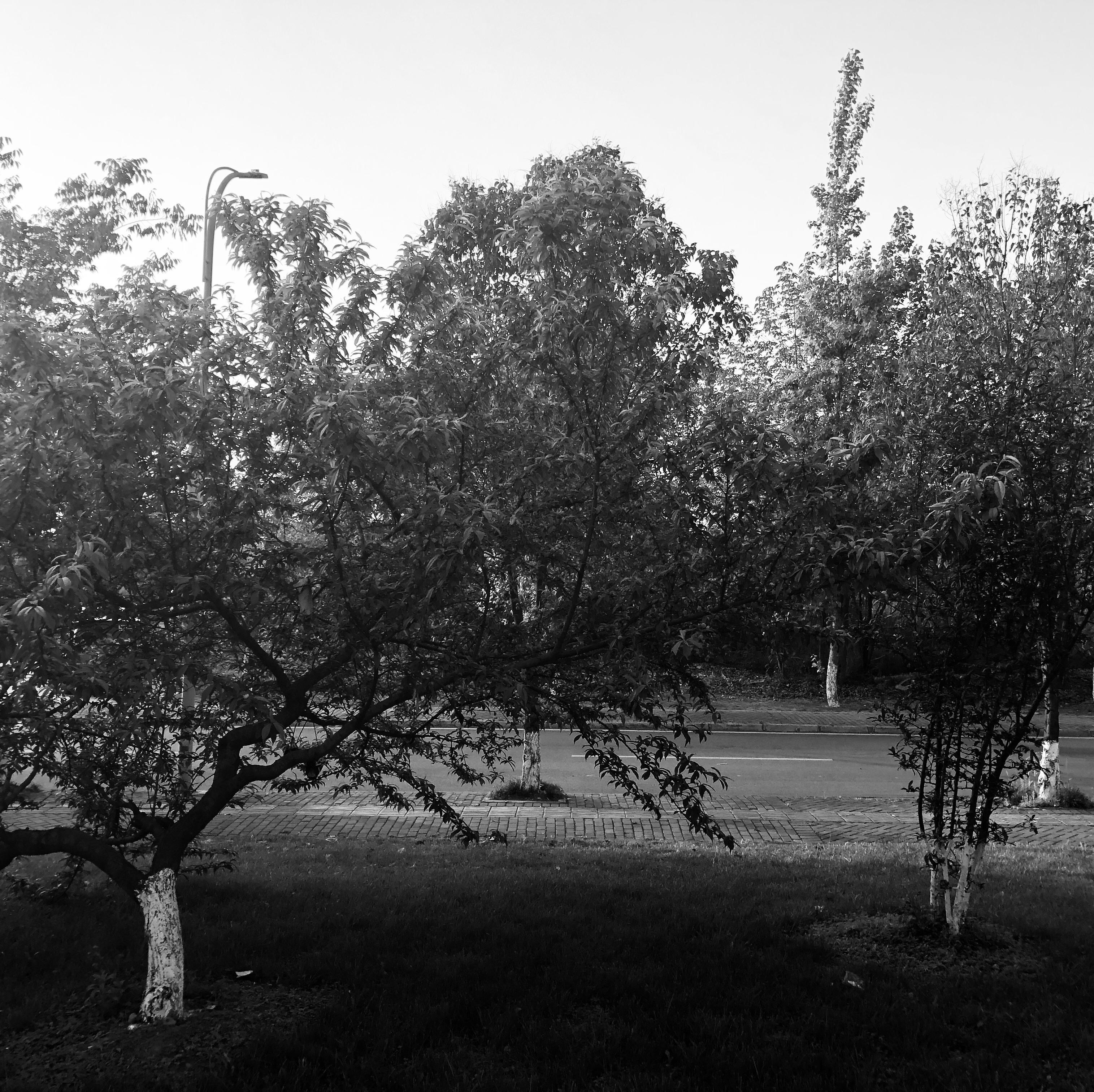 mian fei beat hei se meng zhong