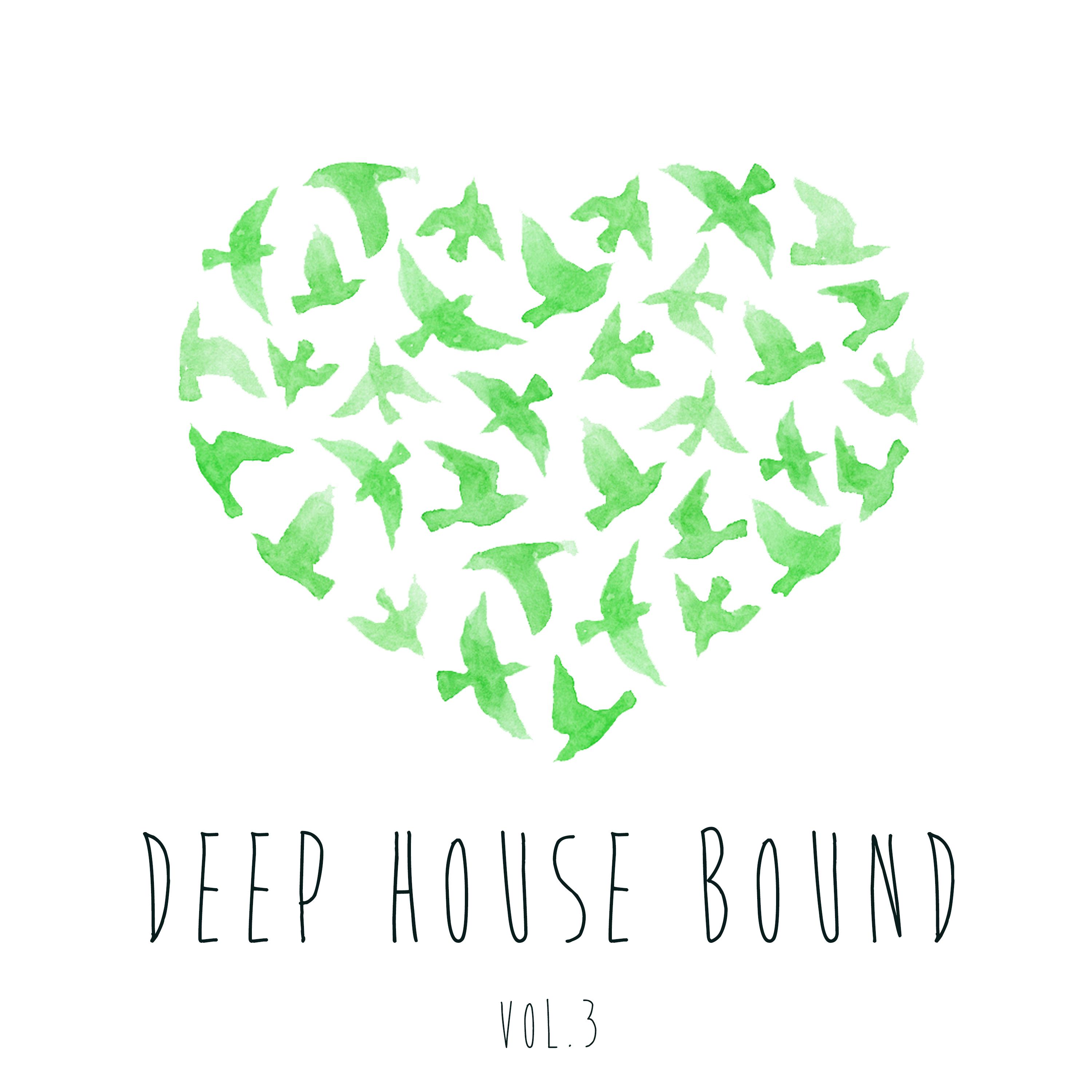 Deep House Bound, Vol. 3