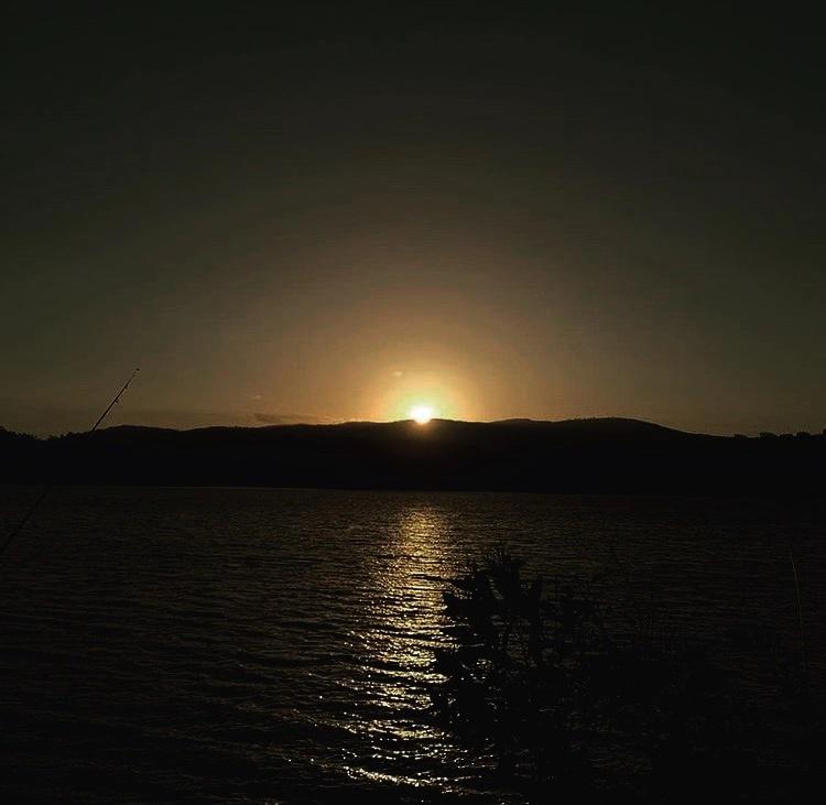 hei ye jiu sheng zhi nan