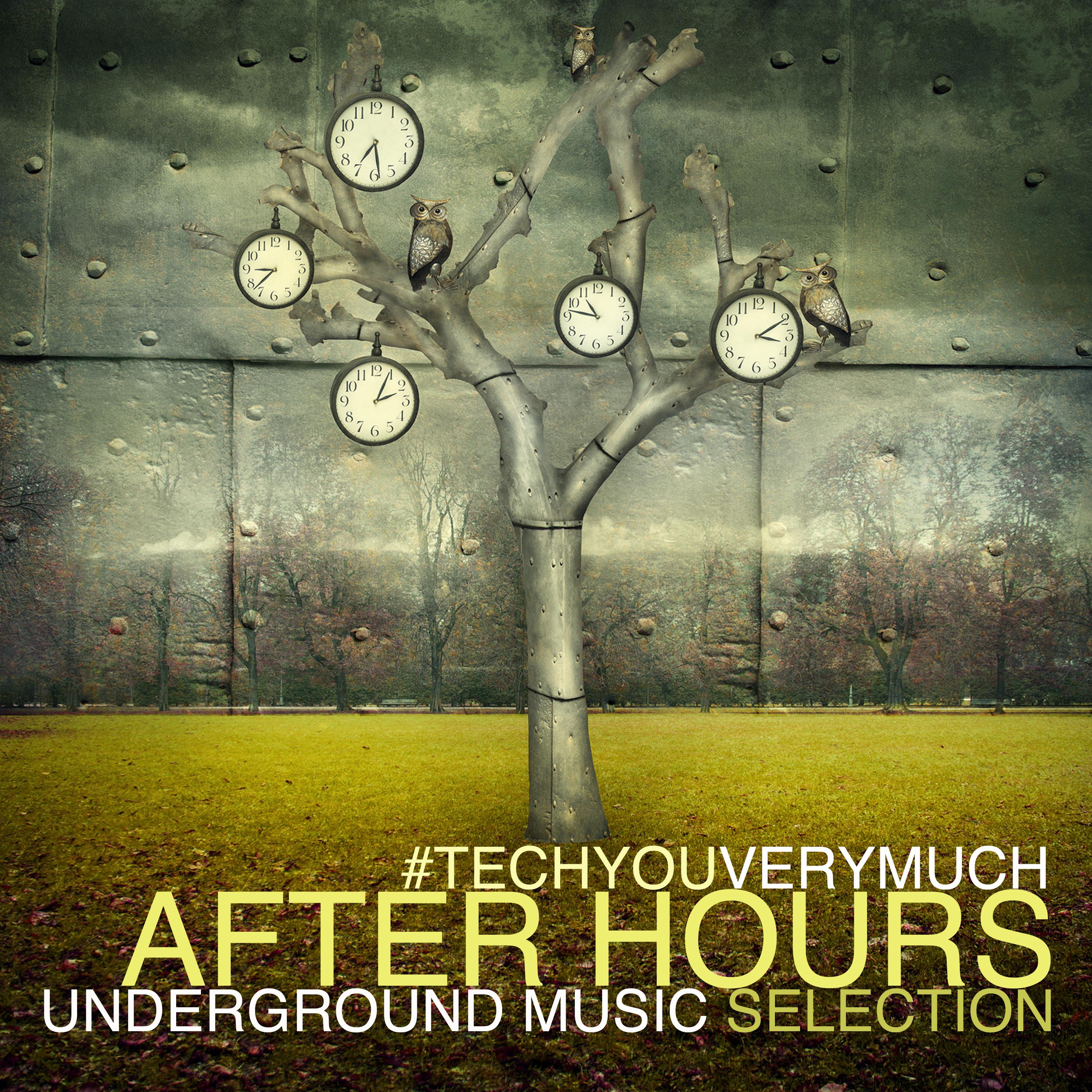 TechYouVeryMuch After Hours (Underground Music Selection)