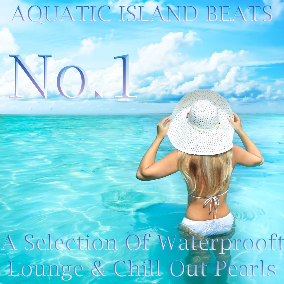 Aquatic Island Beats, No.1