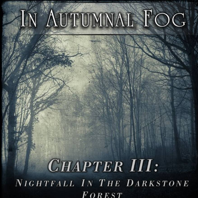 In Autumnal Fog - Chapter III: Nightfall In The Darkstone Forest