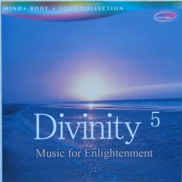 Divinity 5