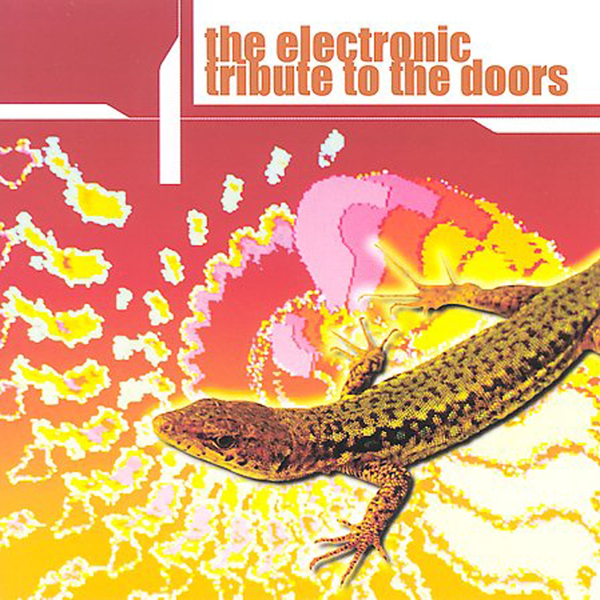 the electronic tribute to the doors