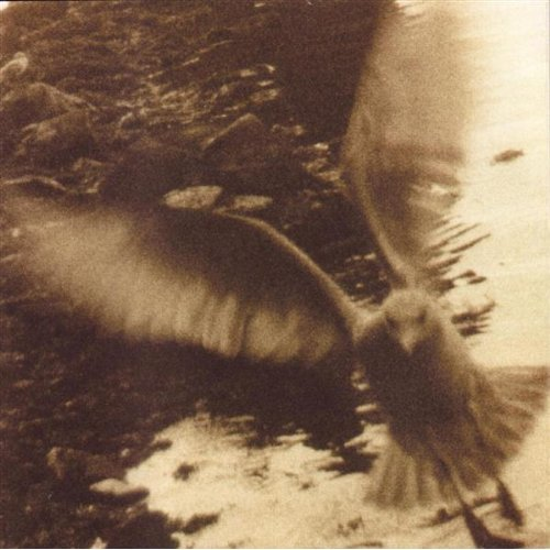 The Eagle And The Hawk