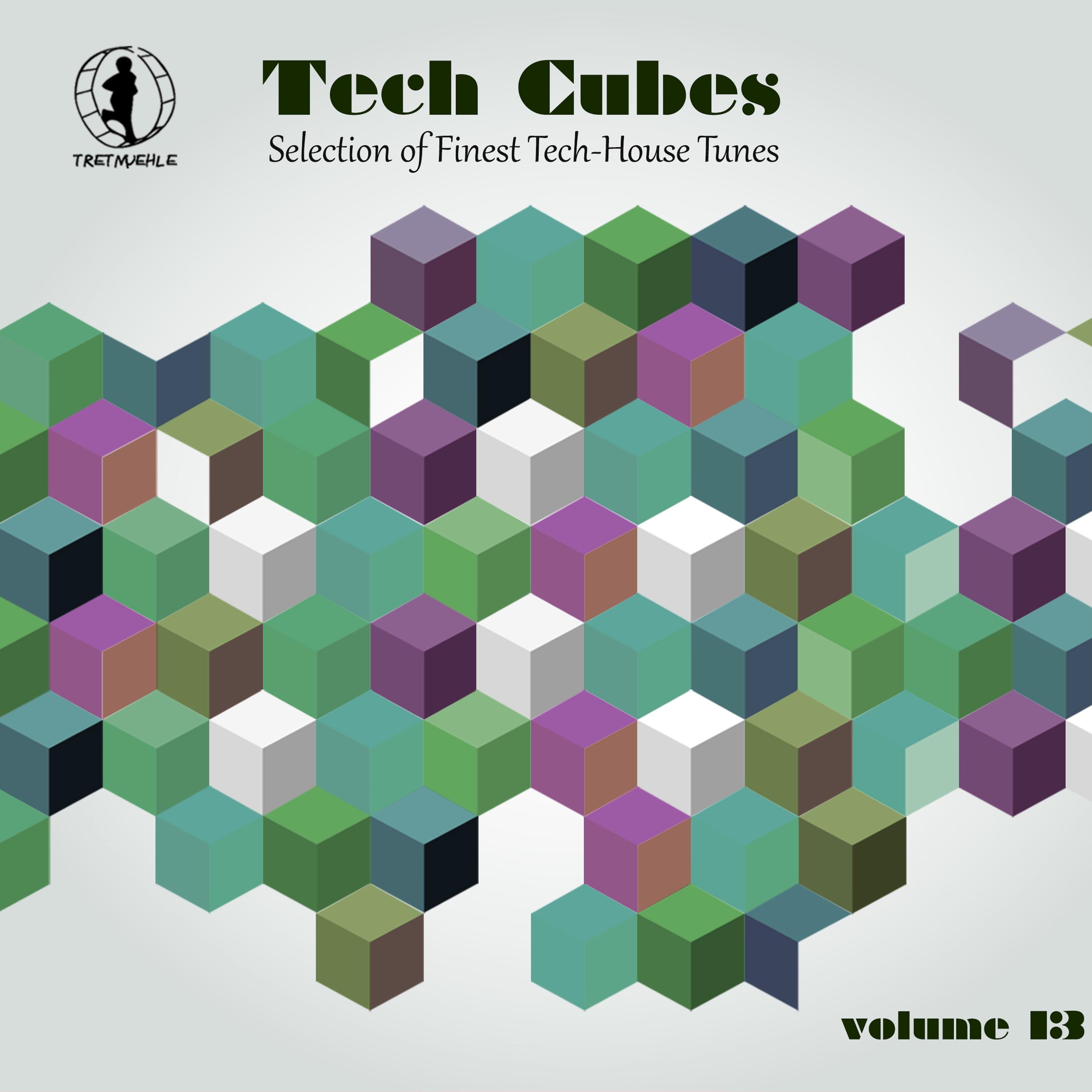 Tech Cubes, Vol. 13 - Selection of Finest Tech-House Tunes!