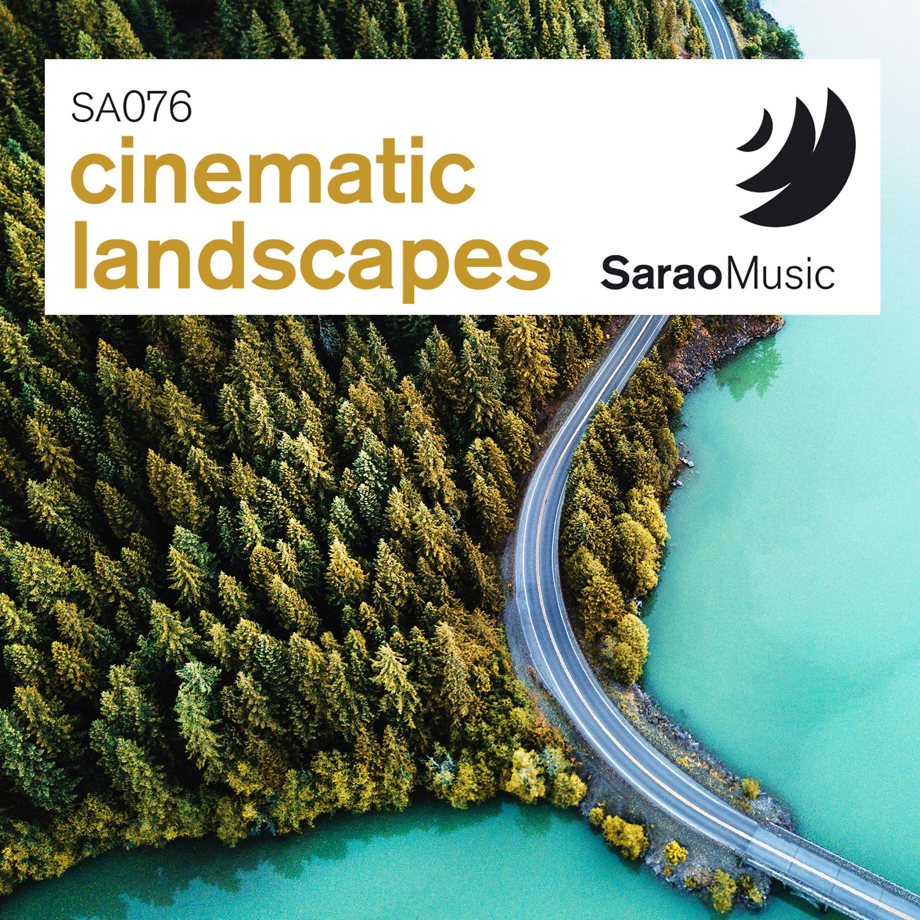 Looking for an Answer