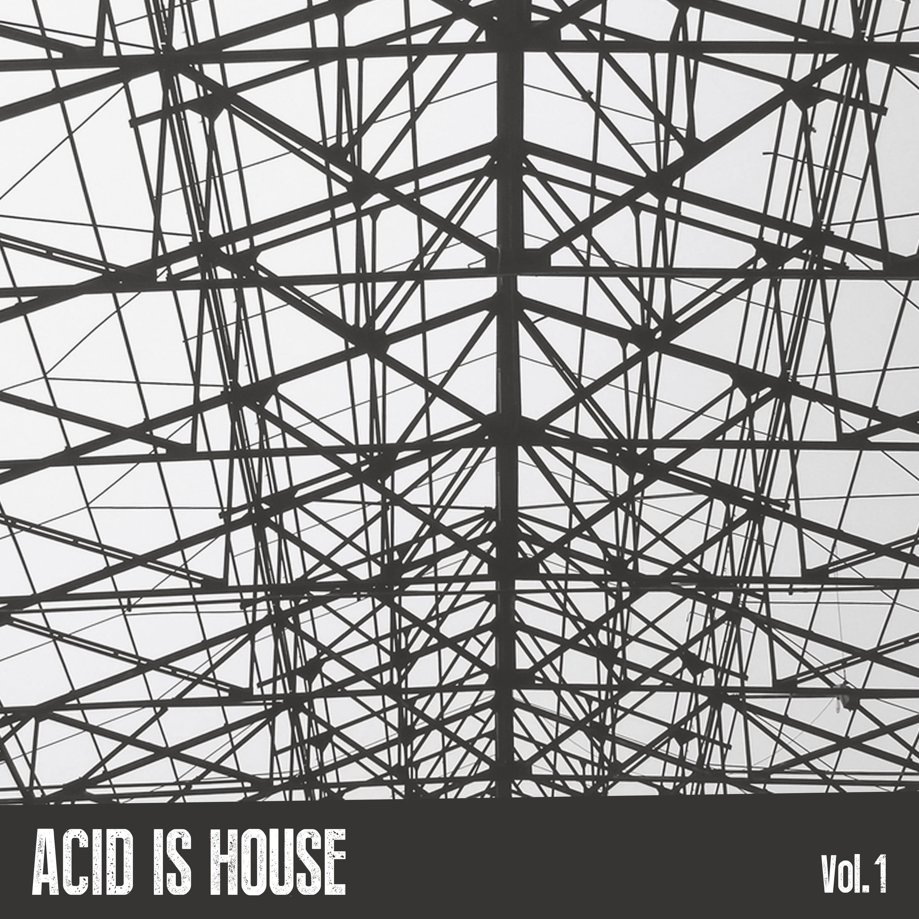 Acid Is House, Vol. 1