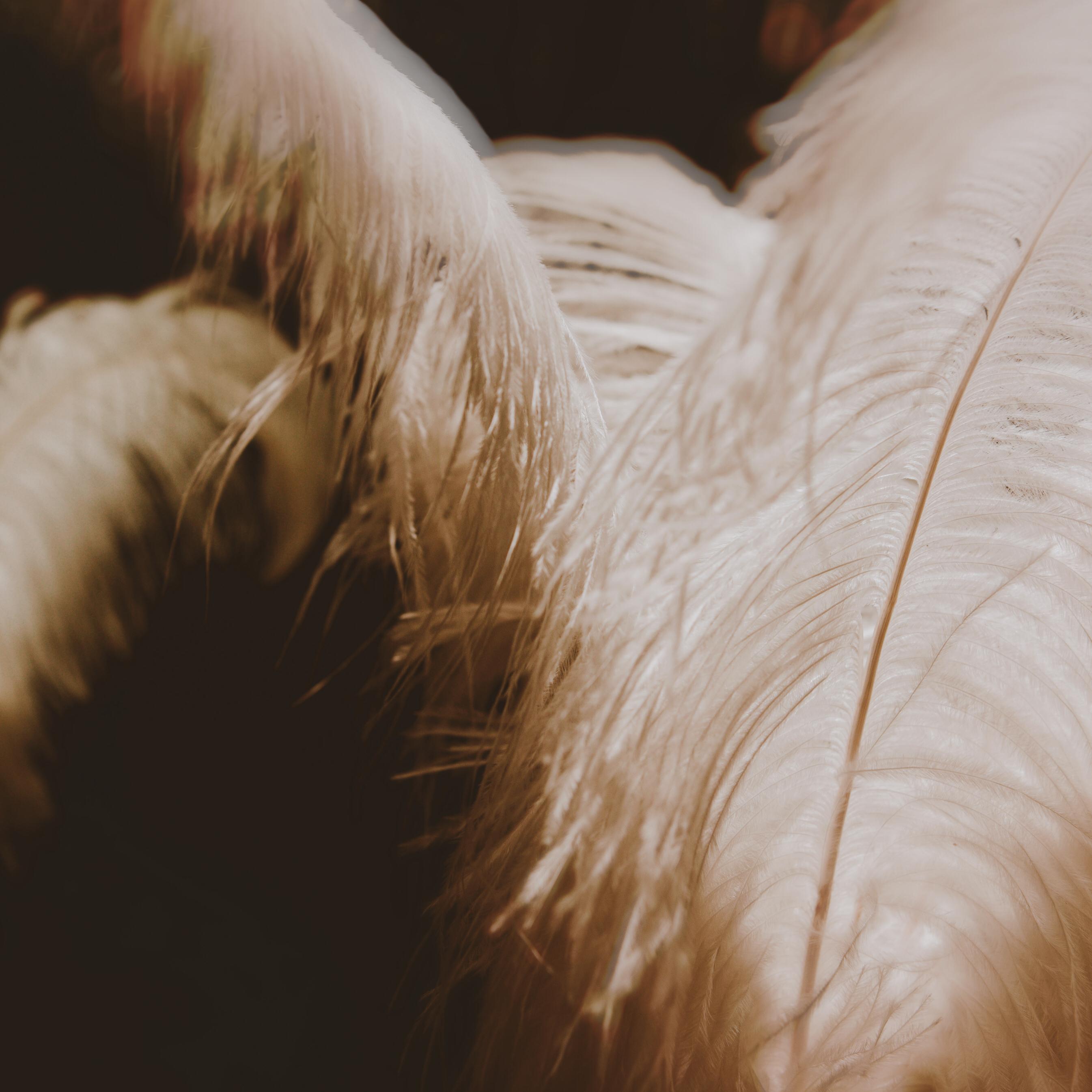 Just Like Grandma Said