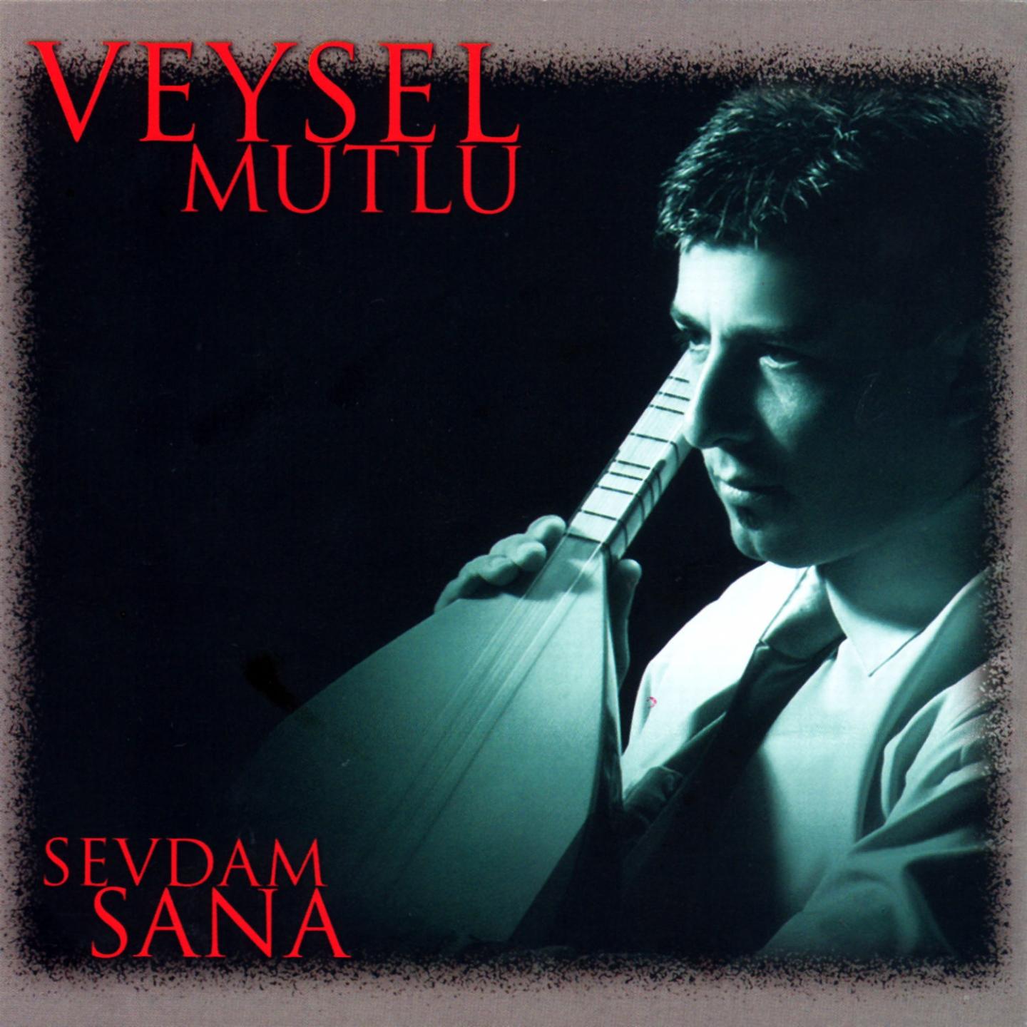 Memleketim Senden Ayr