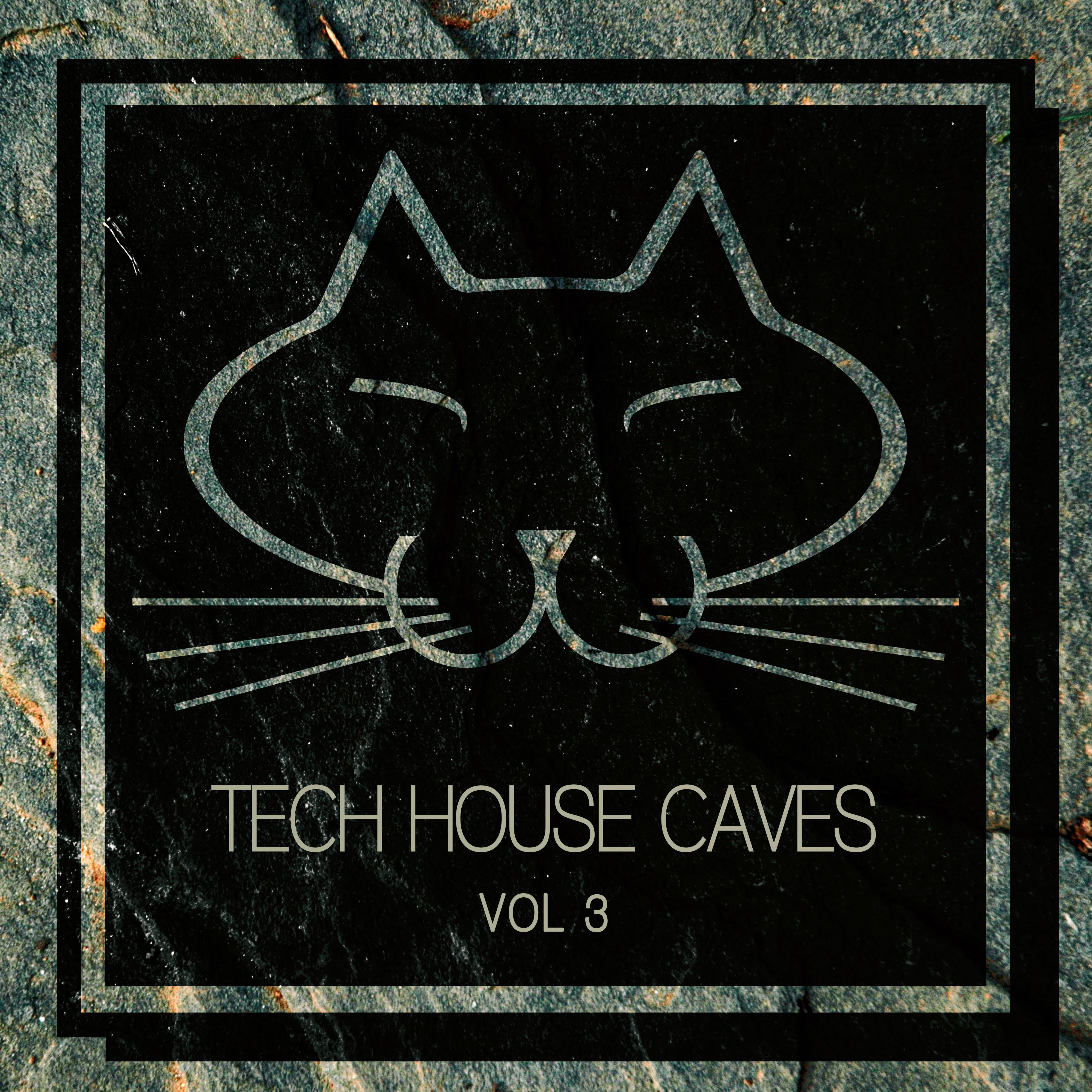 Tech House Caves, Vol. 3