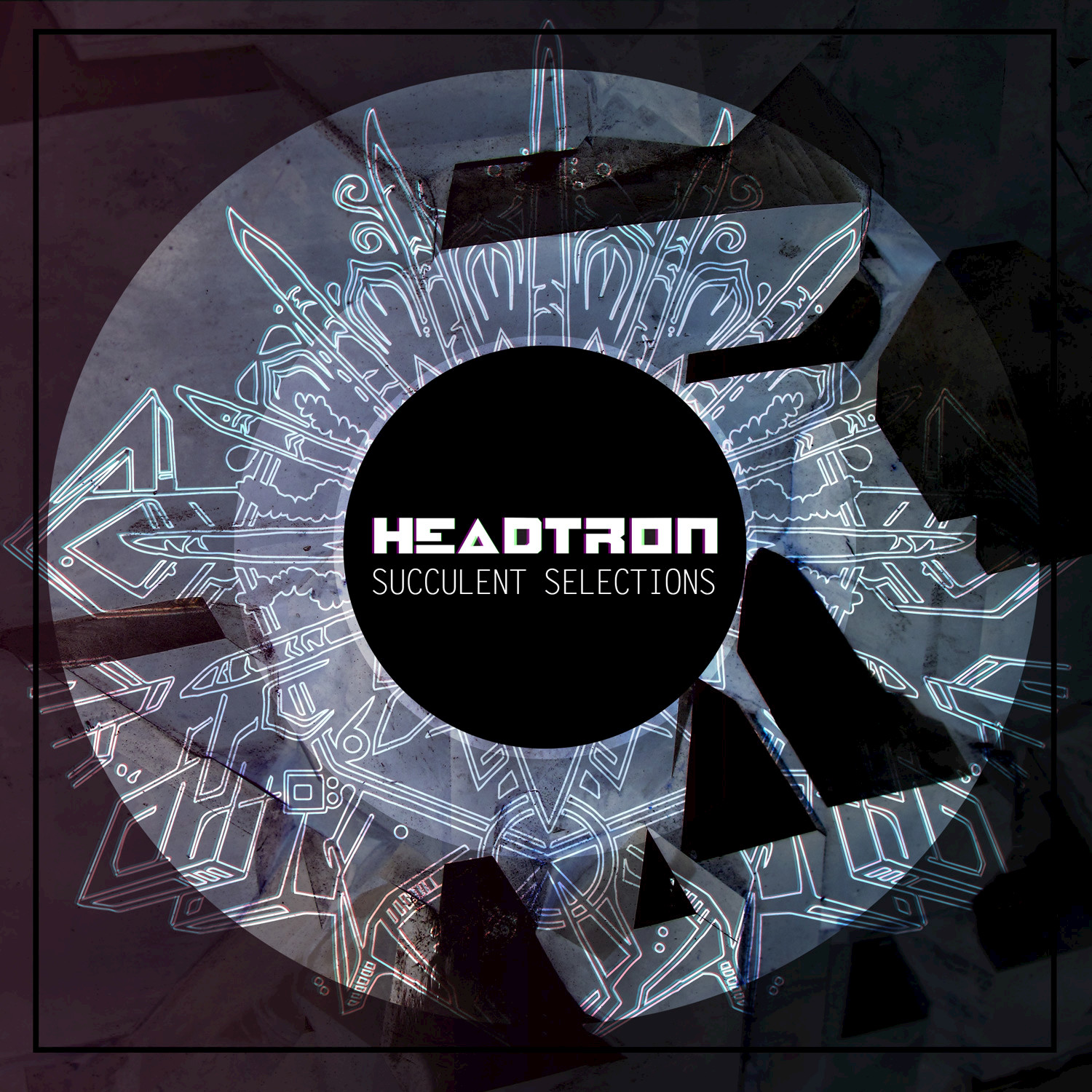 Succulent Selections