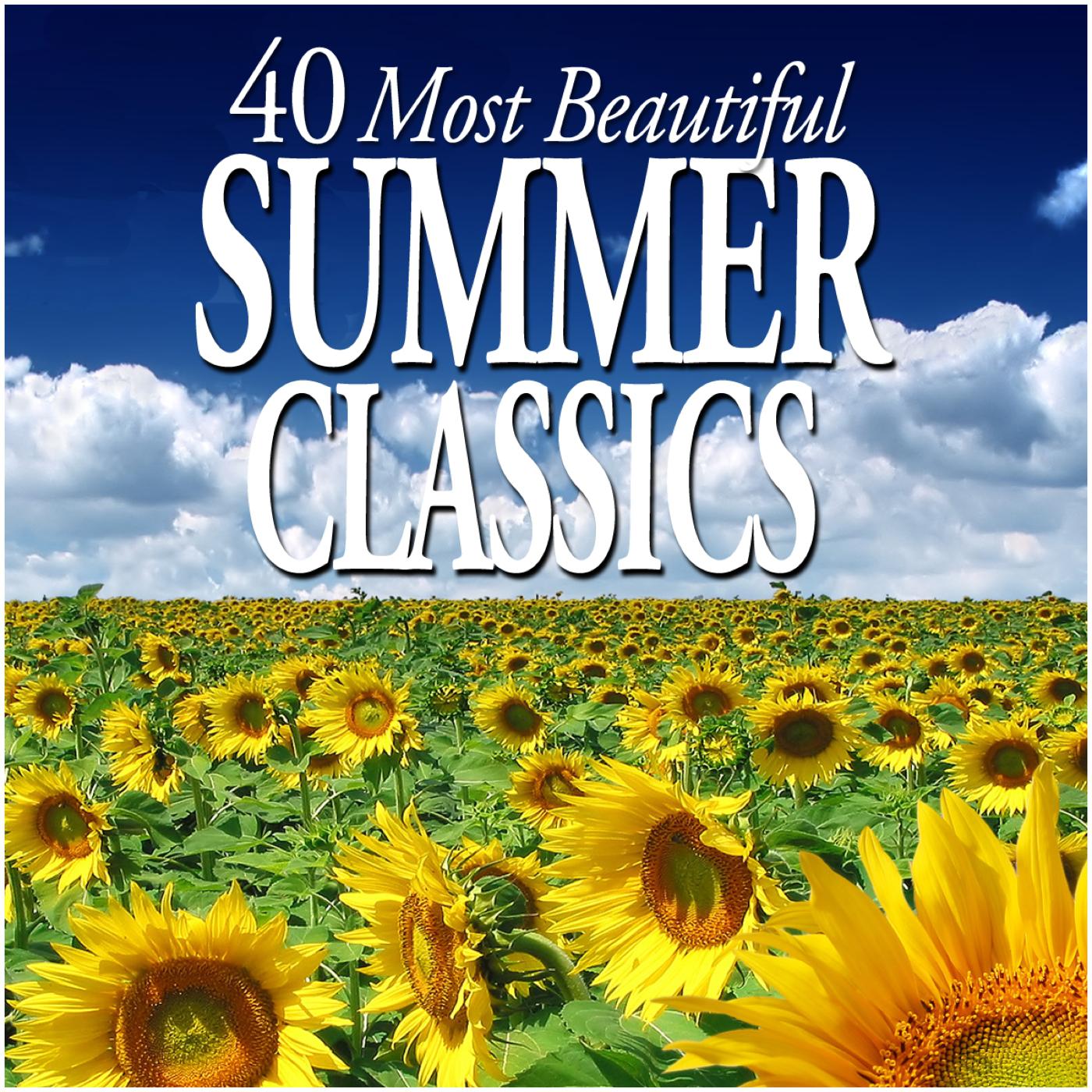 The Four Seasons, Violin Concerto in G Minor, Op. 8 No. 2, RV 315, "Summer":I. Allegro