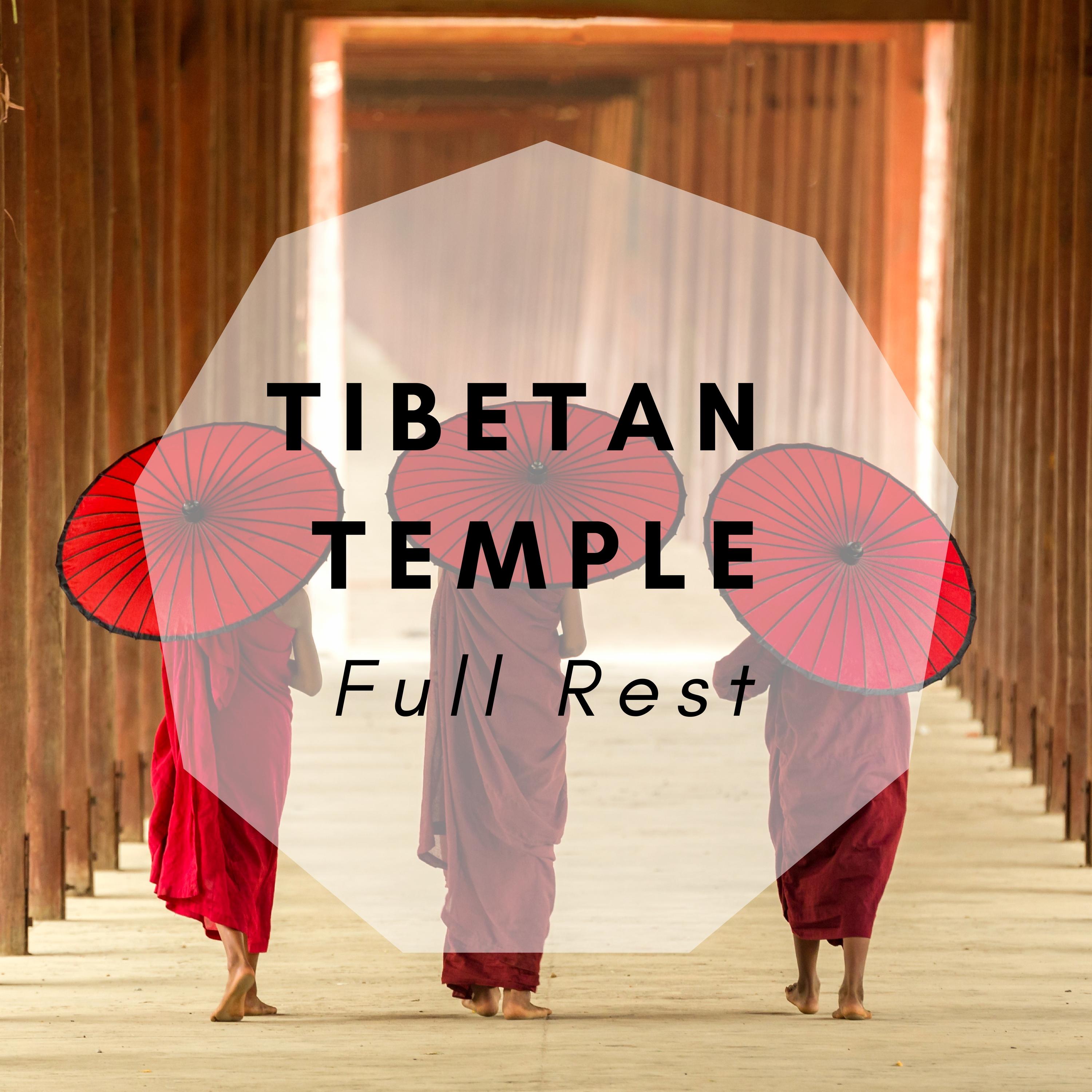 The Harmony of Meditation