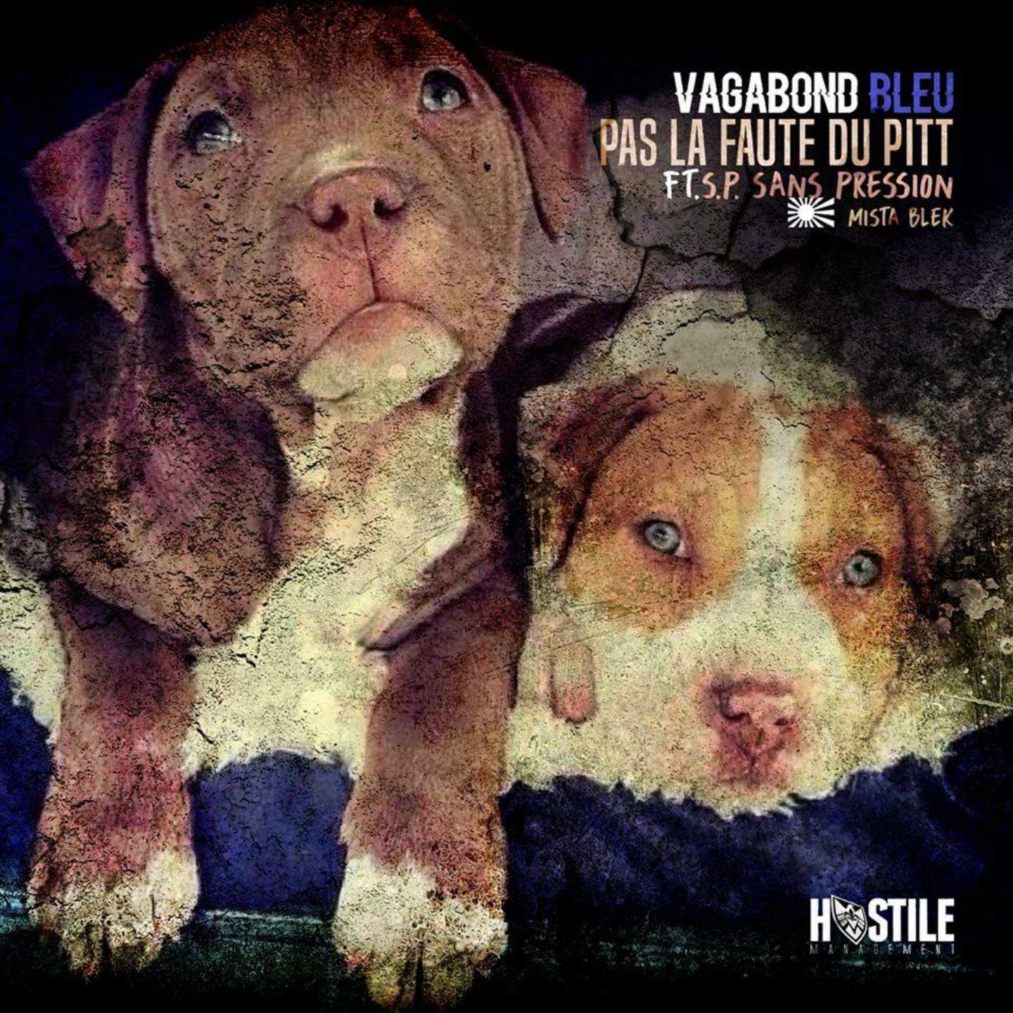 Pas la faute du pitt