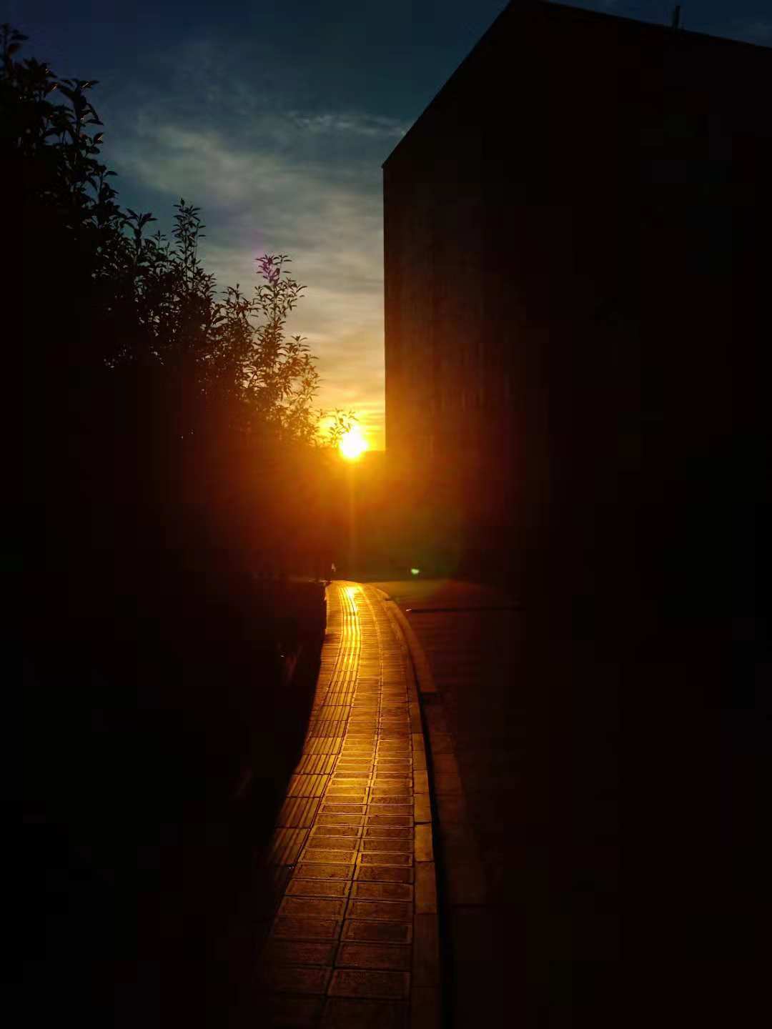 yu hang yuan de wei lai fei chuan