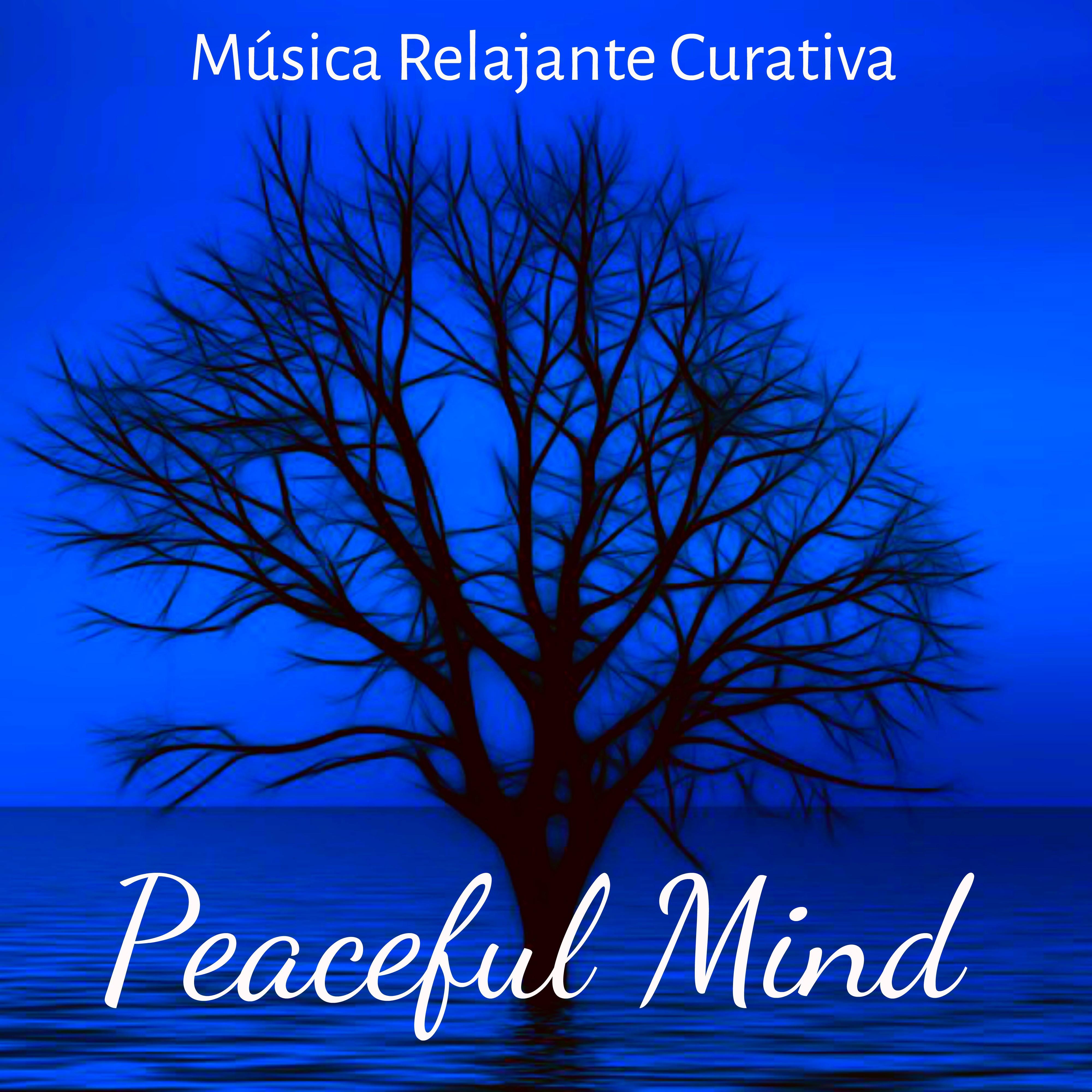 Peaceful Mind  Mu sica Relajante Curativa para Ejercicios de Meditacio n Alineacio n de Chakras Reducir la Ansiedad con Sonidos de la Naturaleza New Age Instrumentales