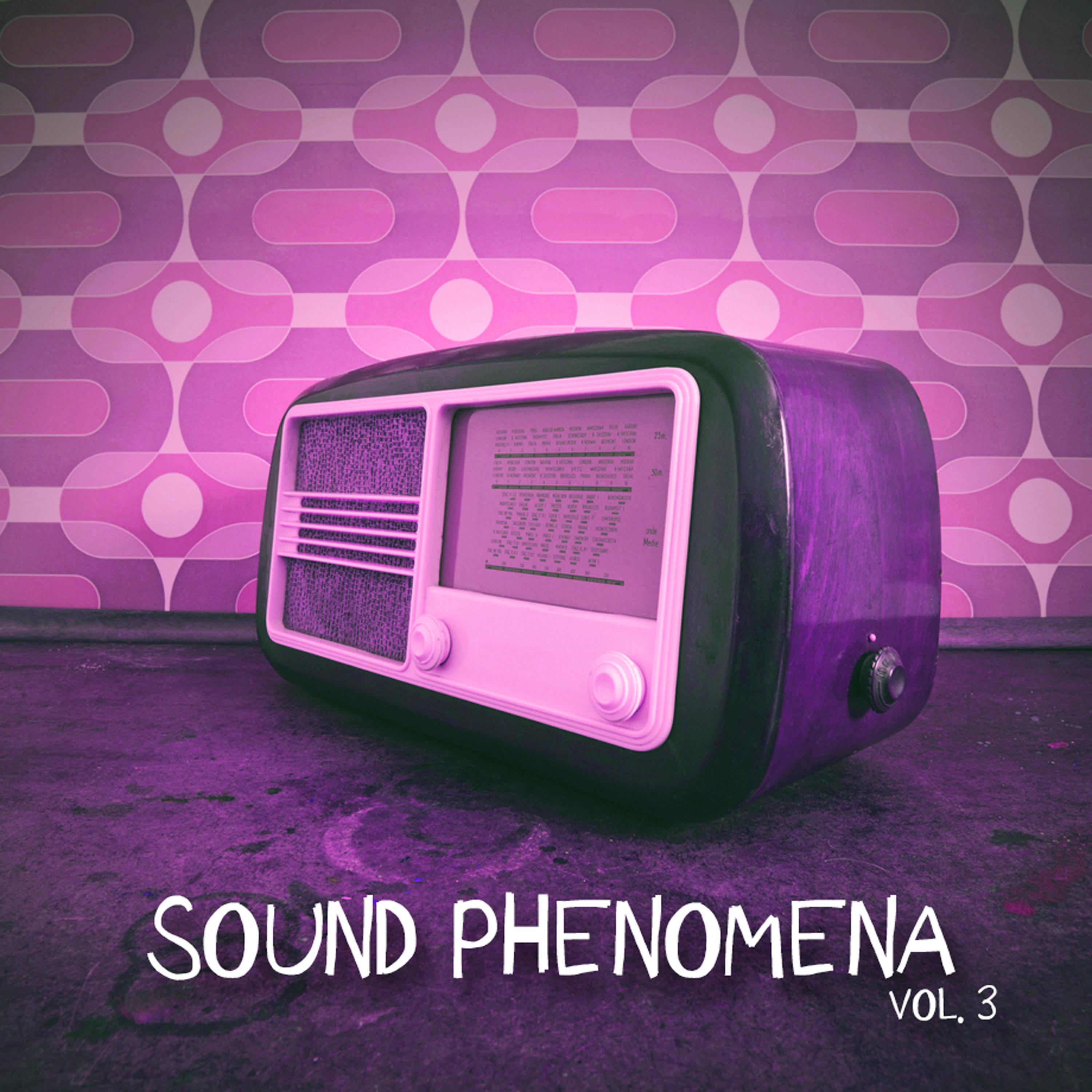 Sound Phenomena, Vol. 3