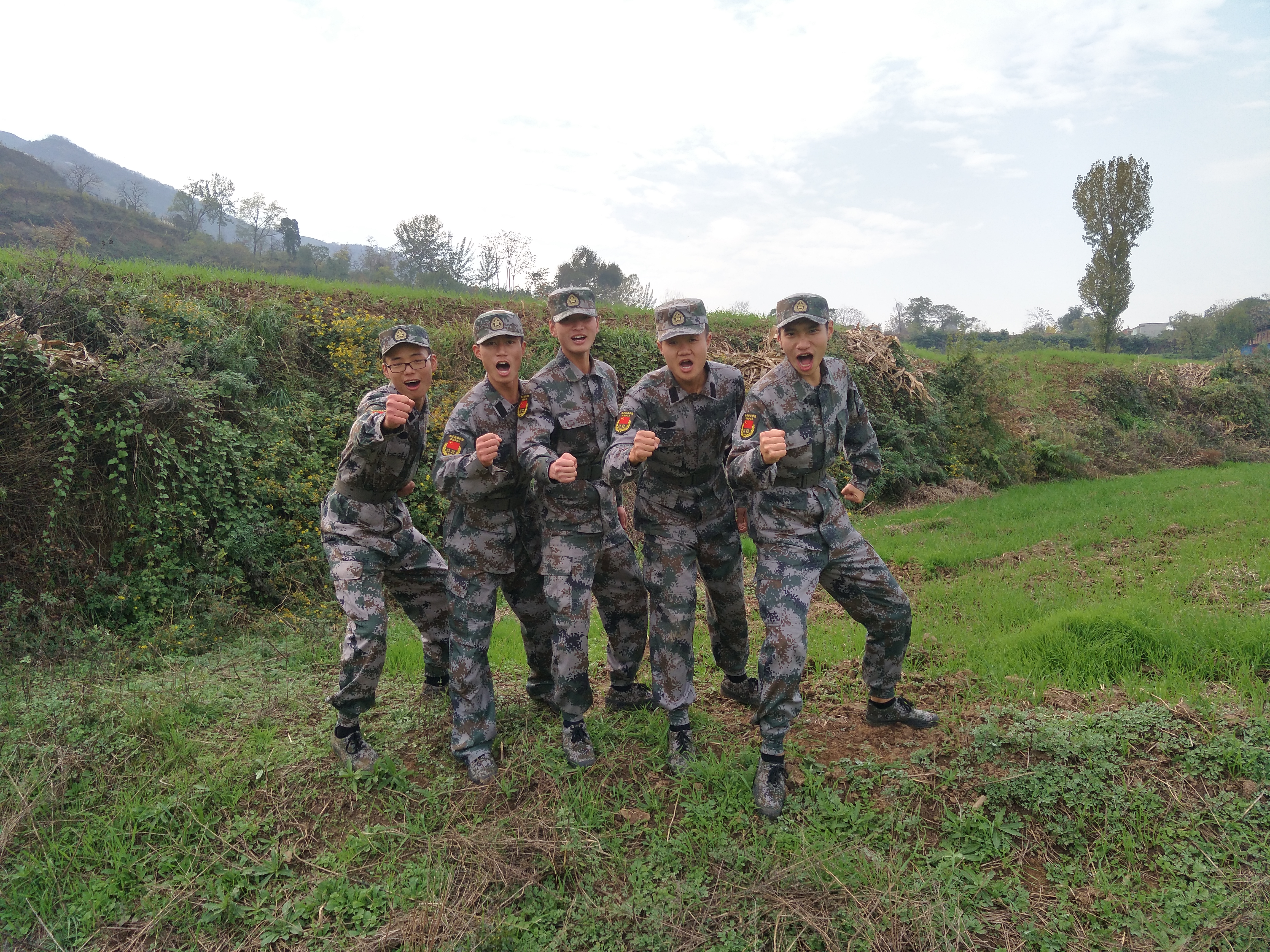 mi cai se de qing chun