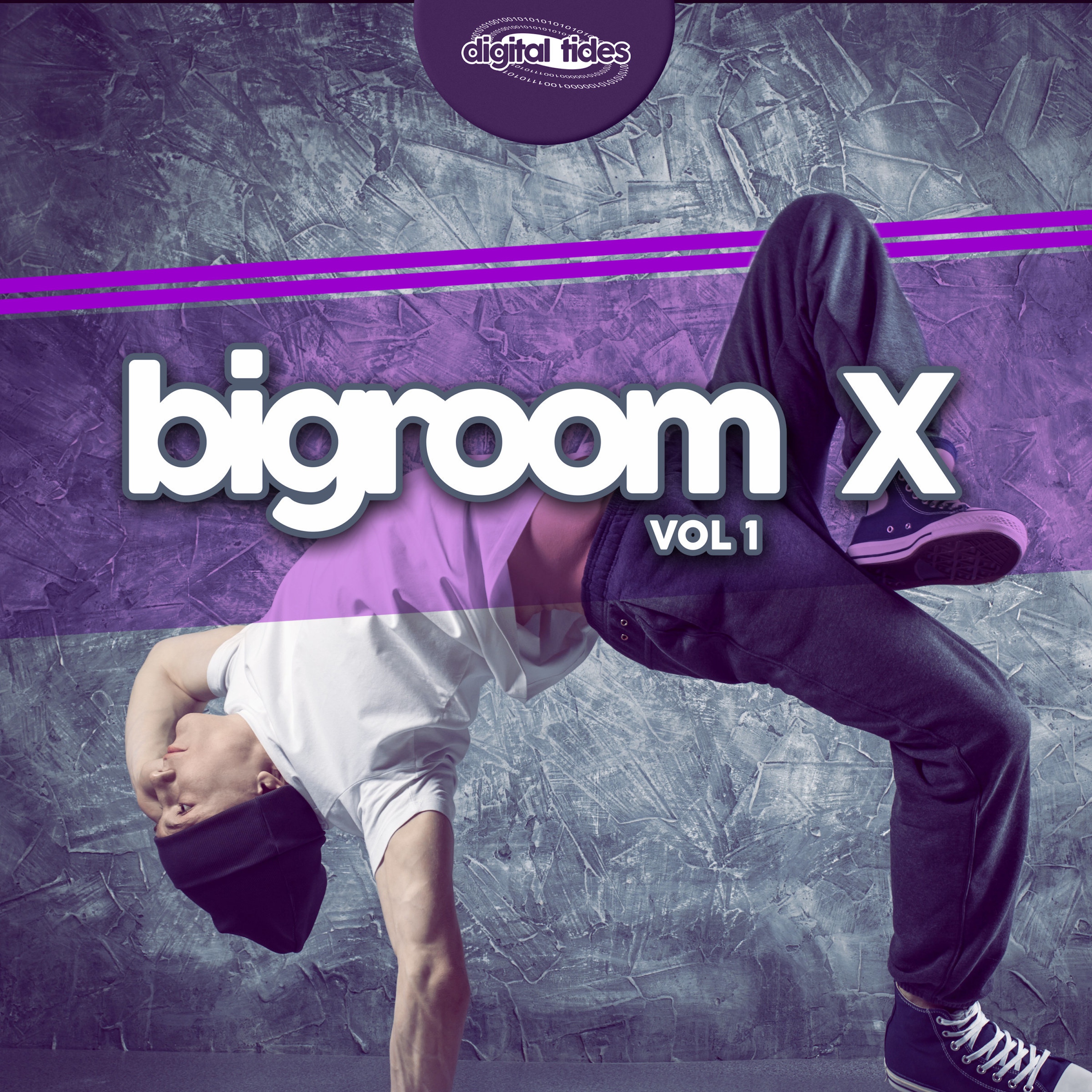Bigroom X, Vol. 1
